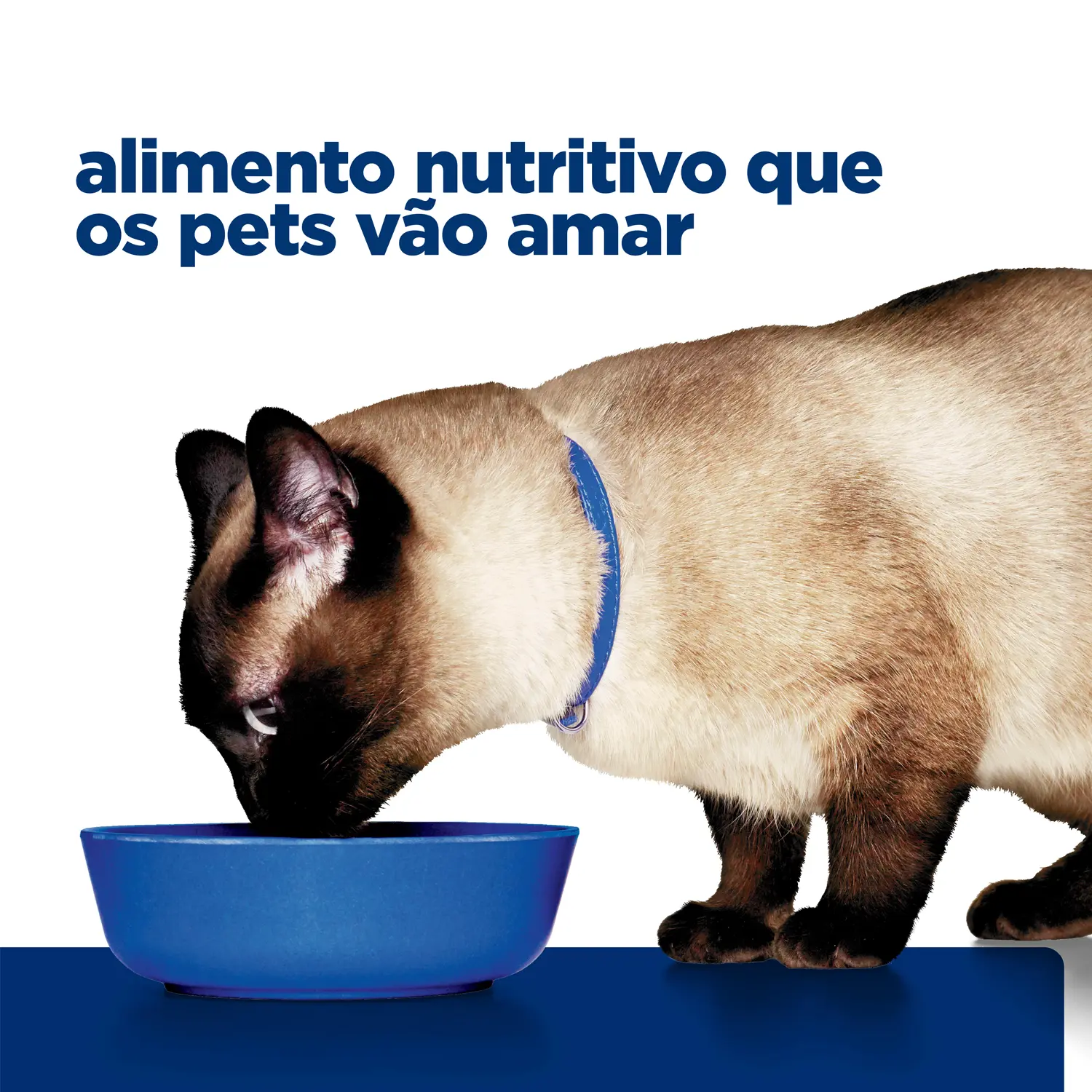 6-Racao-Umida-Hill-s-Prescription-Diet-ZD-Gatos