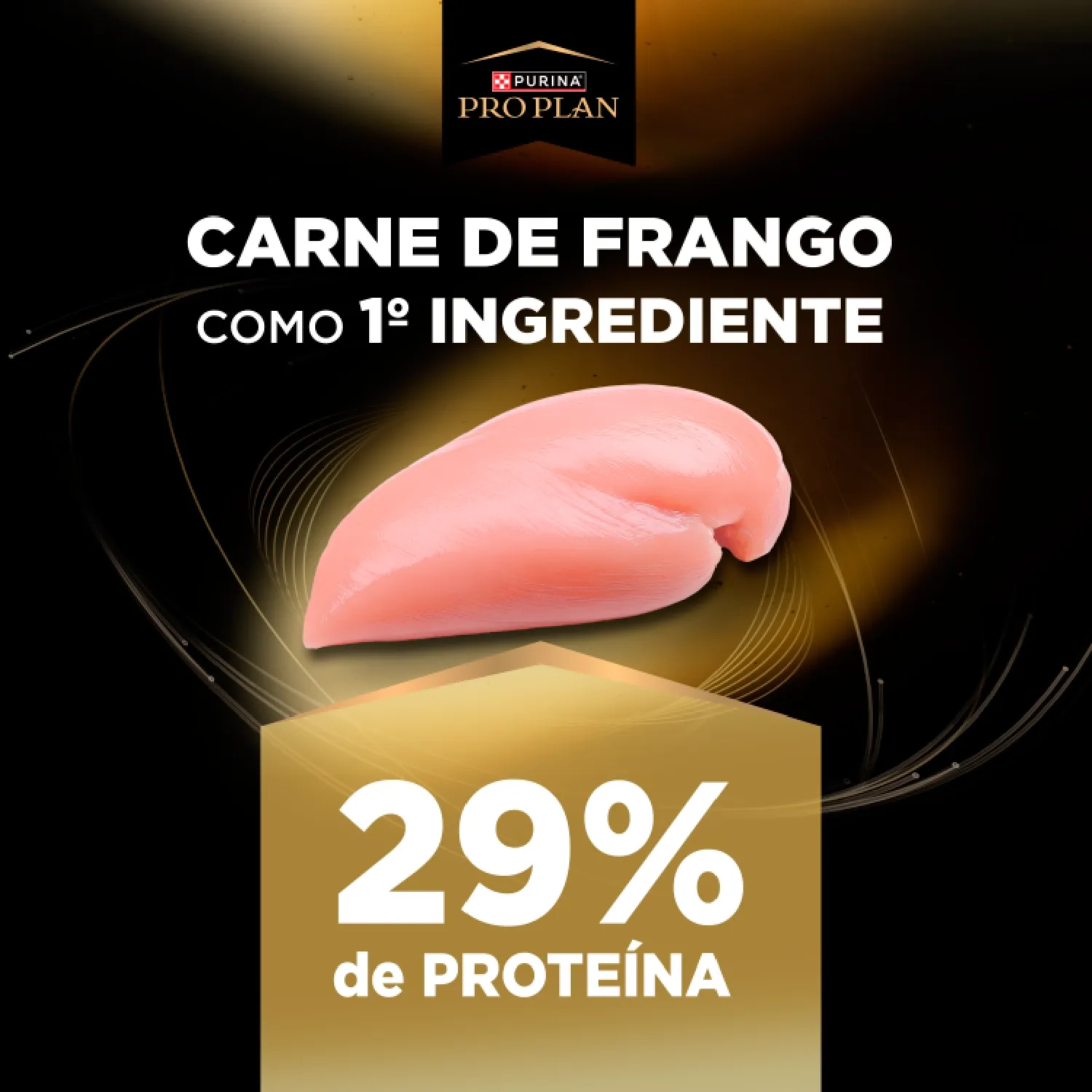 Racao-Pro-Plan-Long-Excep-Caes-Senior-7--Mini-e-Peq-ingrediente-03