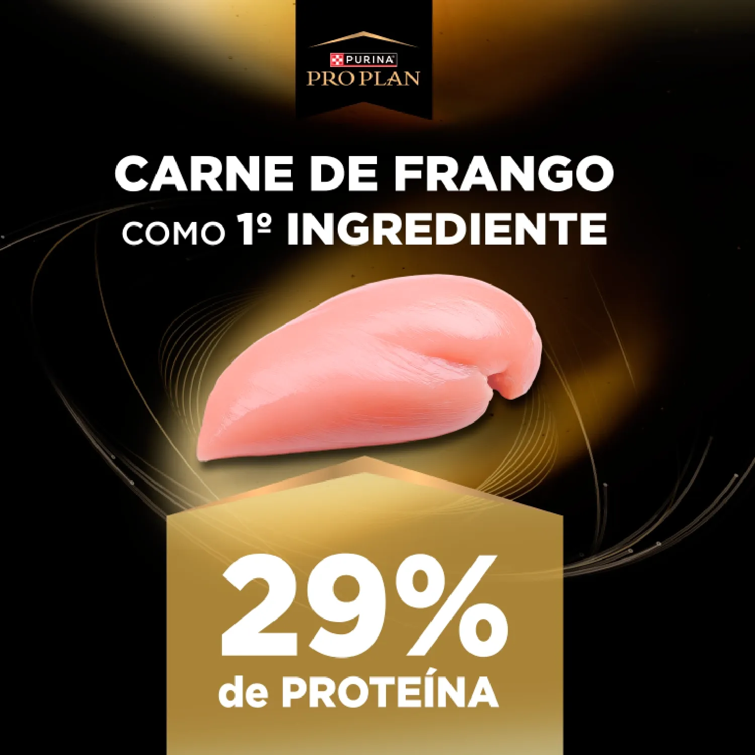 Racao-Pro-Plan-Long-Excep-Caes-Senior-7--Mini-e-Peq-ingrediente-03