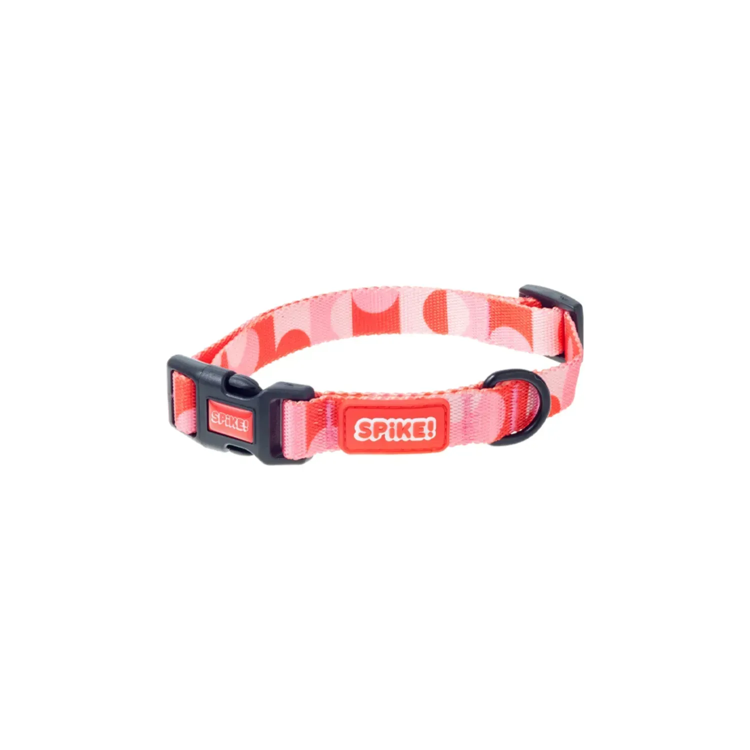 Coleira-para-Caes-Confetti-Spike-3