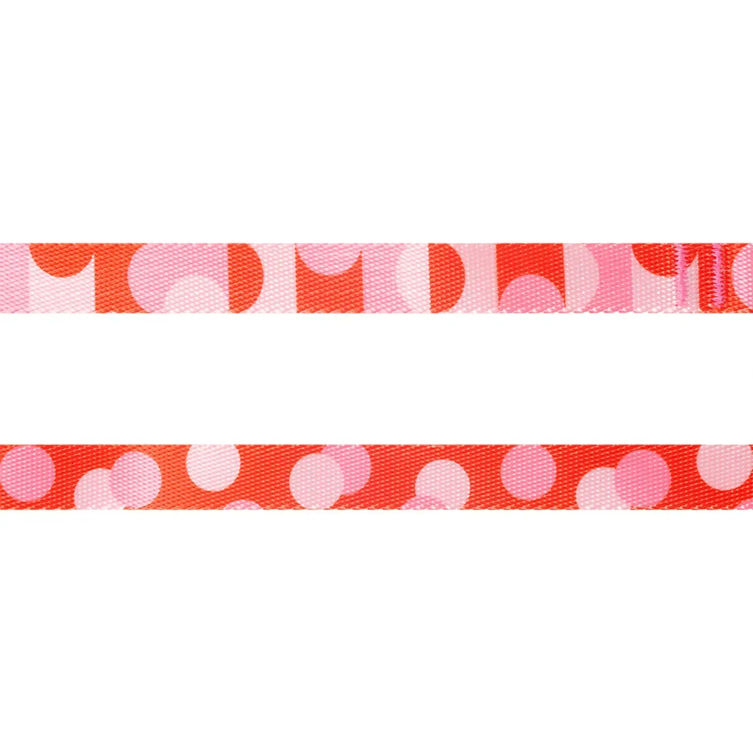 Coleira-para-Caes-Confetti-Spike-4