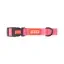Imagem em destaque
