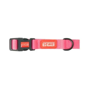 Coleira de Passeio para Cães Pink Spike