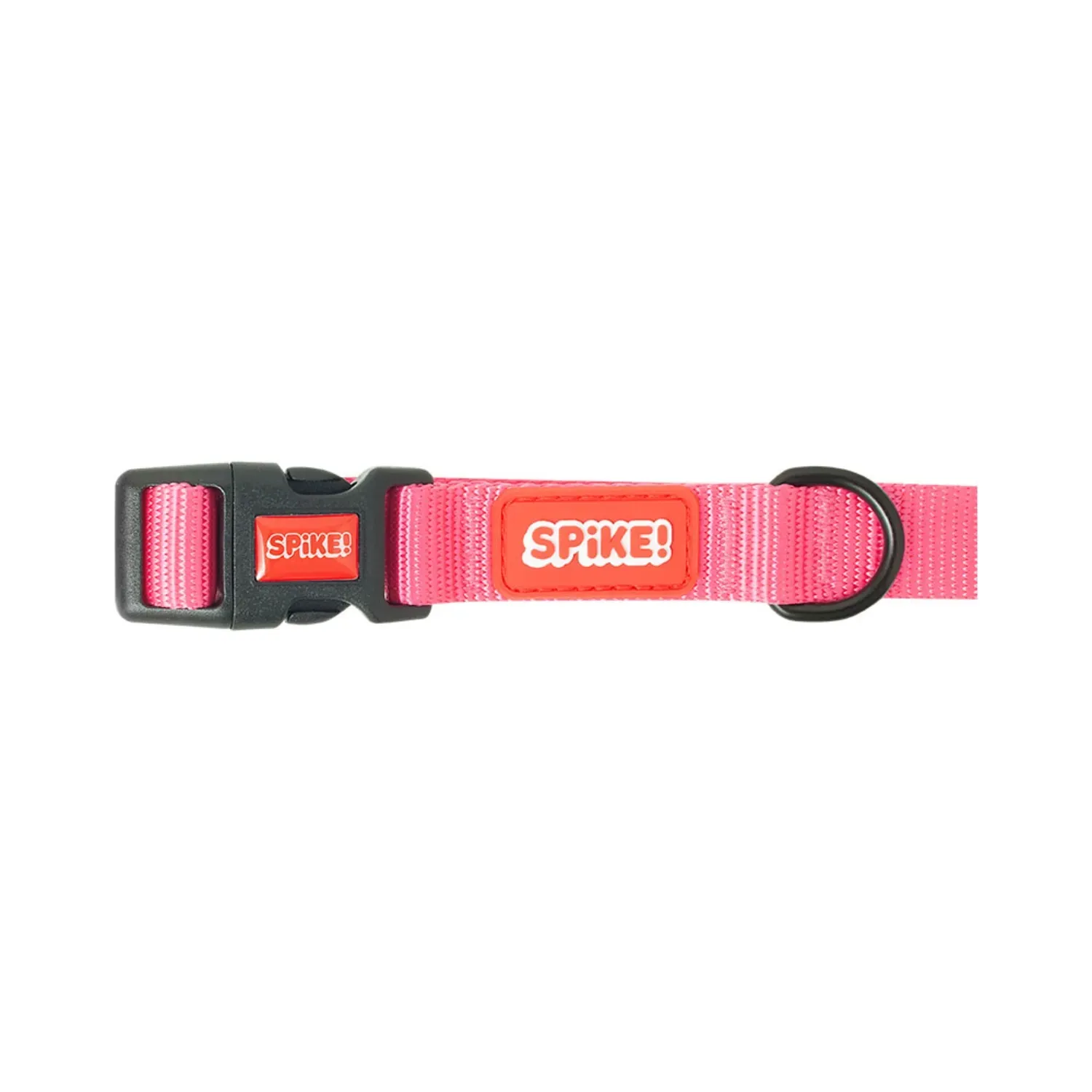 Coleira-para-Caes-Pink-Spike-4