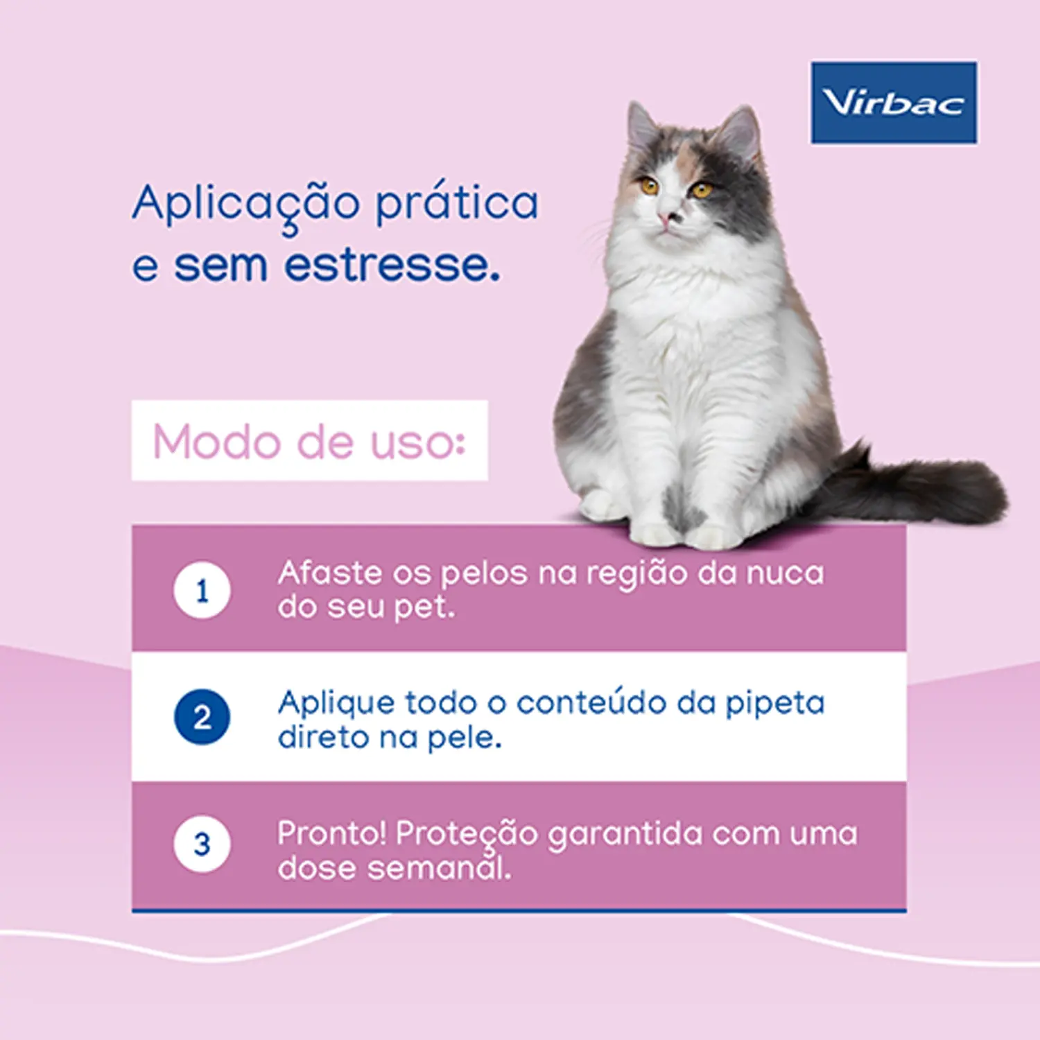 2-Phisioderm Spot On para Caes e Gatos