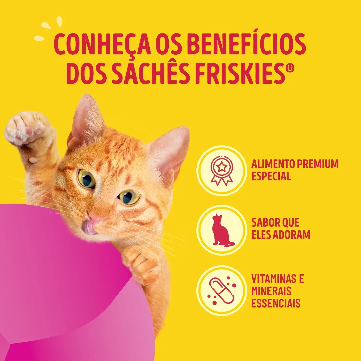 Racao-Umida-Friskies-Gatos-Adultos-Molho-Cremoso-Megamix-5