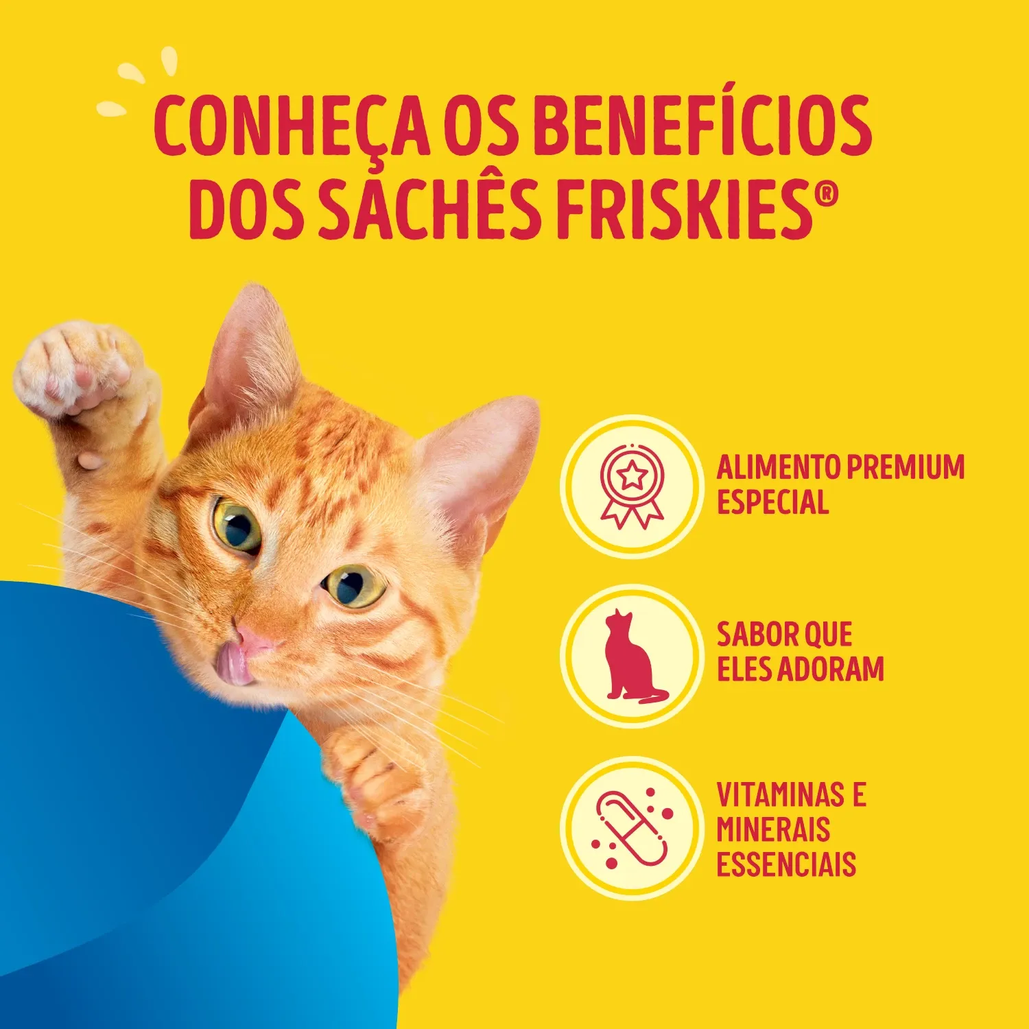 Racao-Umida-Friskies-Gatos-Adultos-Molho-Cremoso-Mar-de-Sabores-5