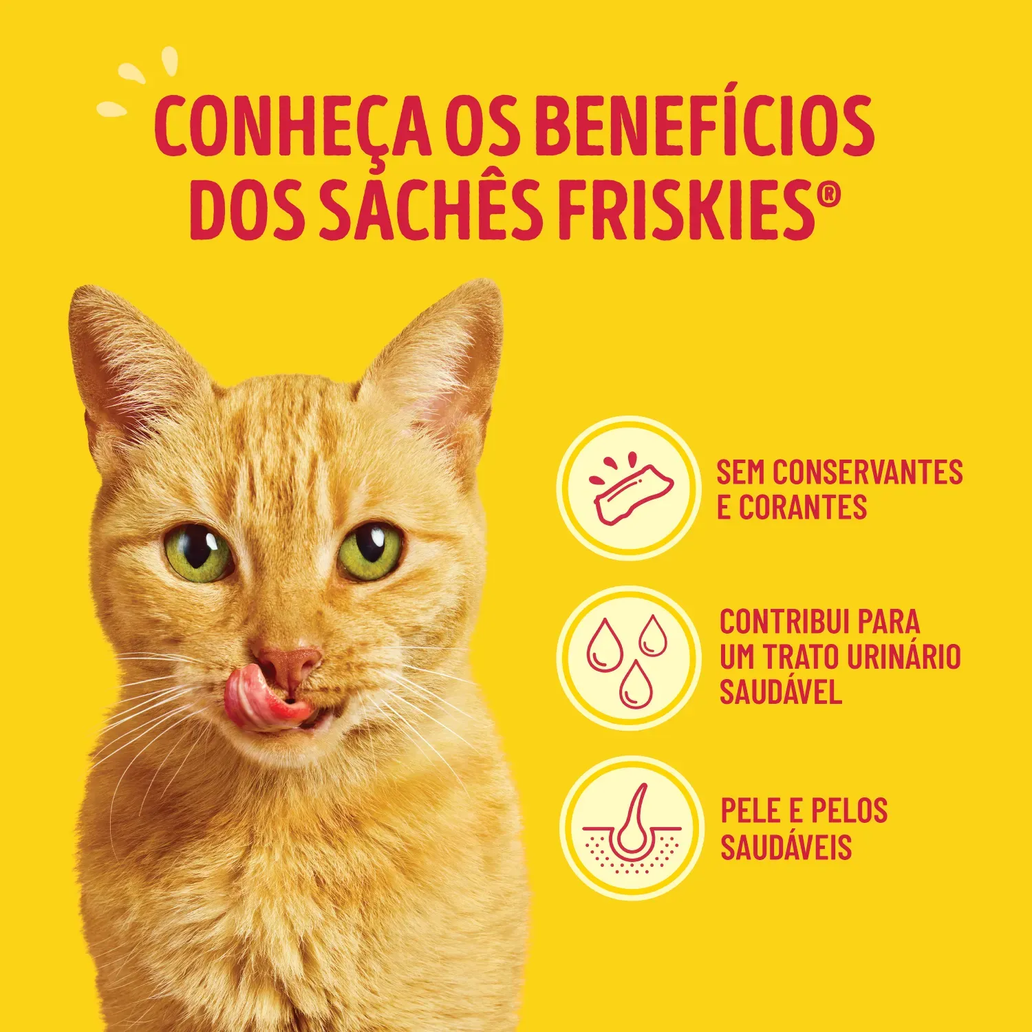 Racao-Umida-Friskies-Gatos-Adultos-Molho-Cremoso-de-Mix-de-Carnes-4