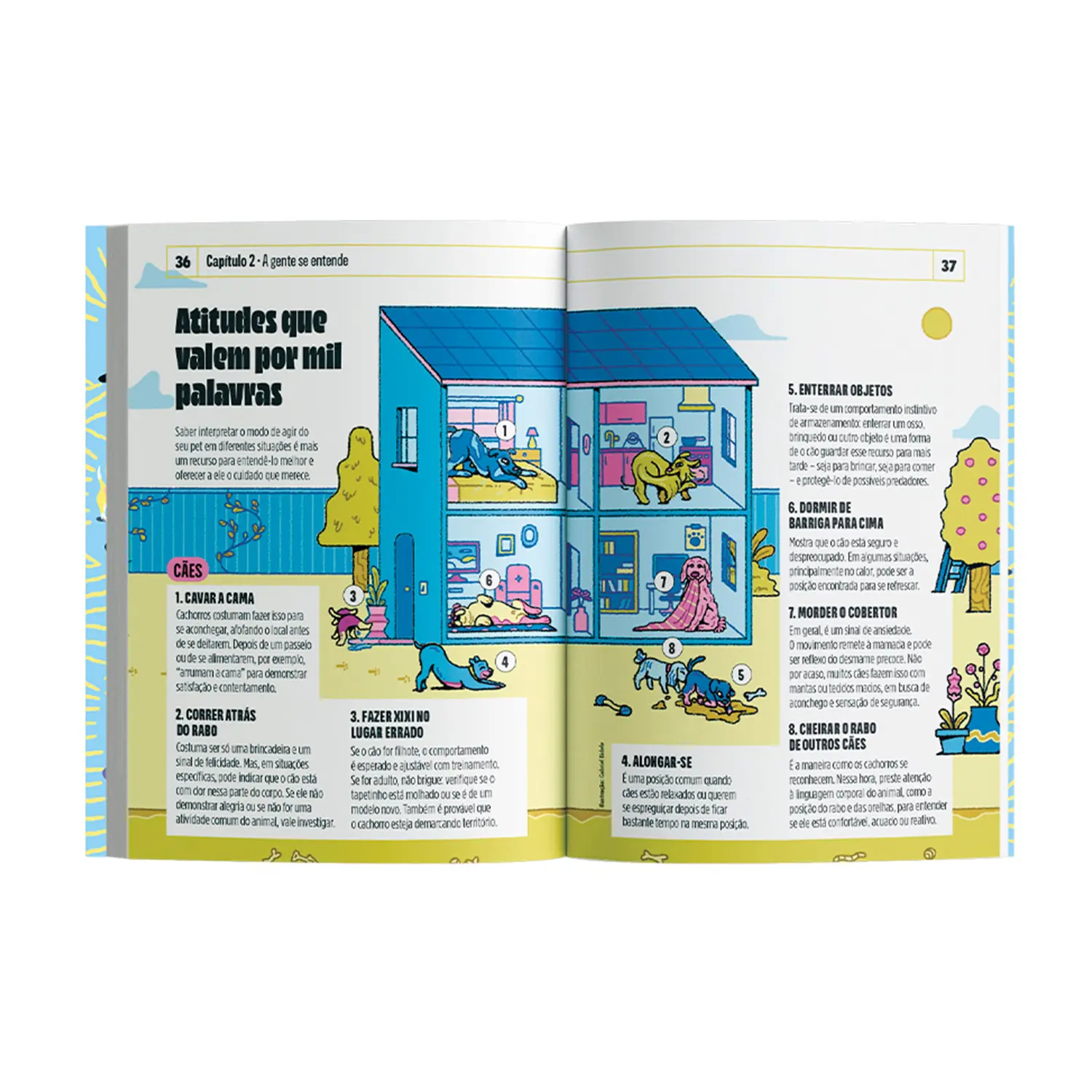 2-Livro Como Entender Seu Pet