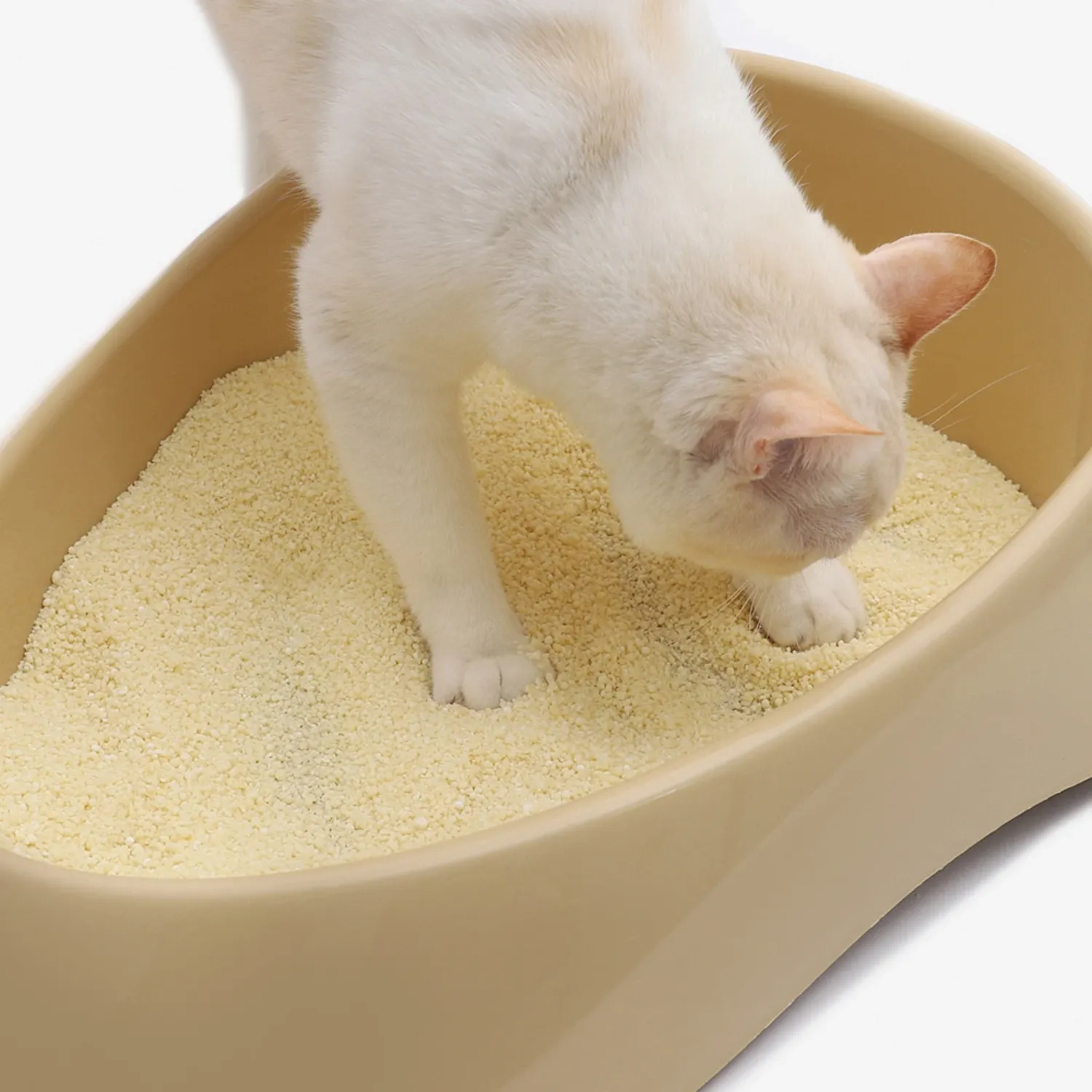 Areia-Higienica-Biodegradavel-para-Gatos-Graos-Medios-4