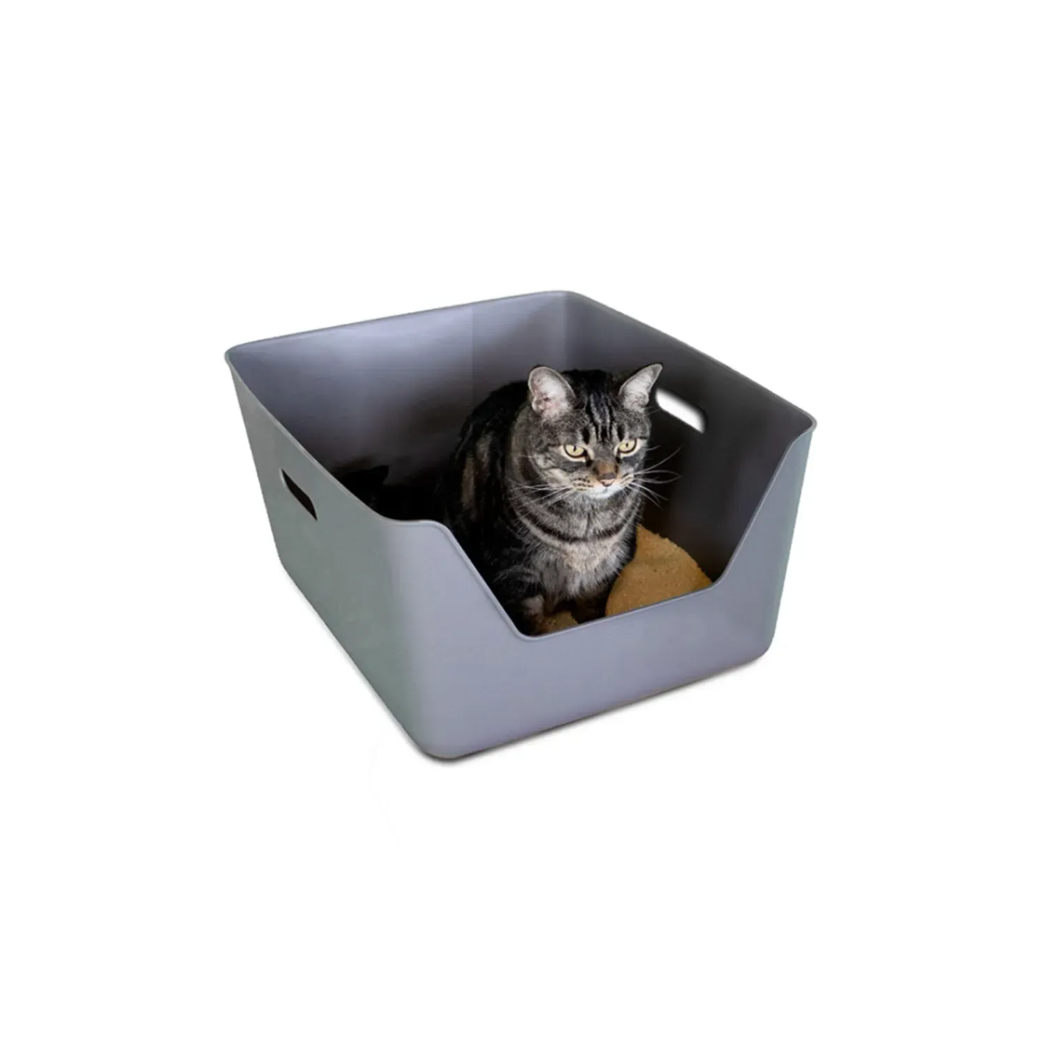 Bandeja-Higienica-Cansei-de-Ser-Gato-Cinza-6