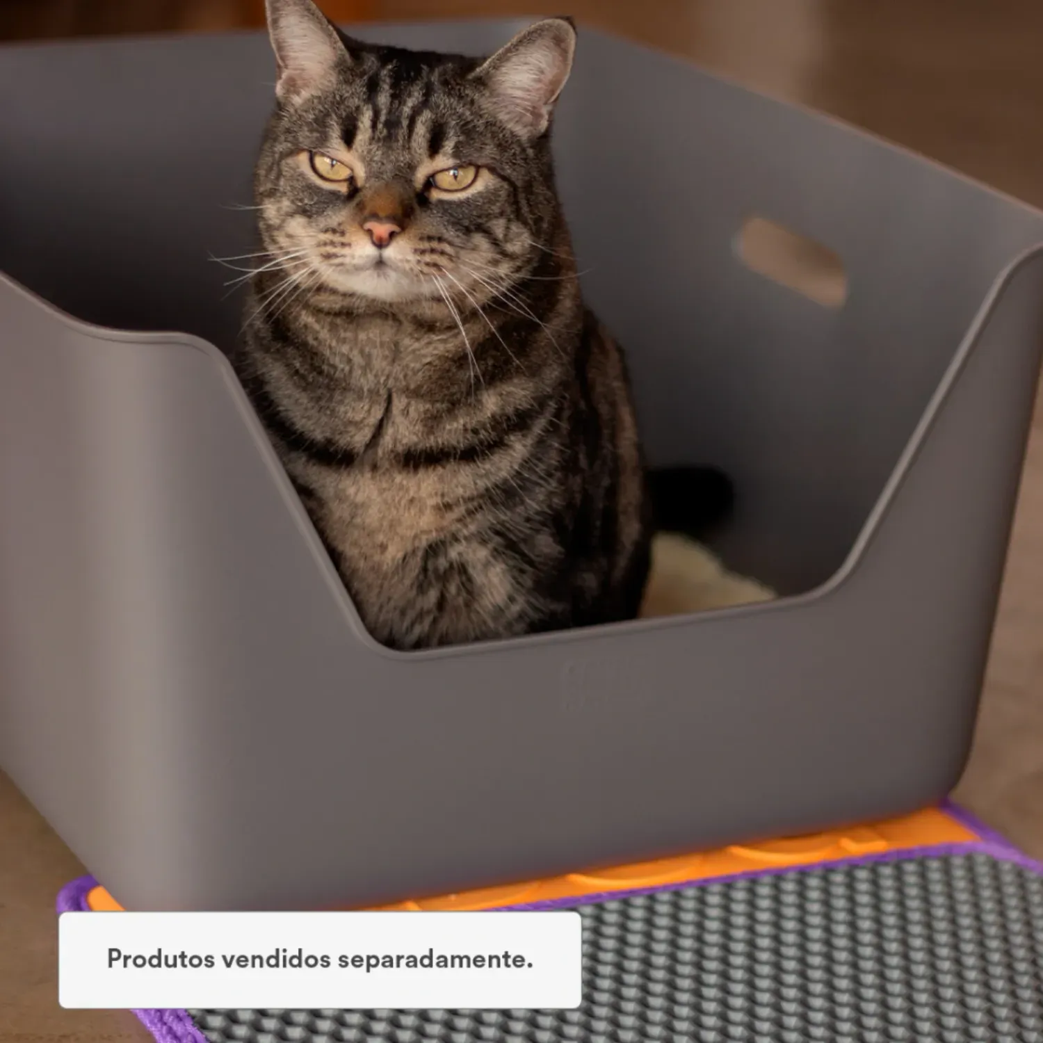 Bandeja-Higienica-Cansei-de-Ser-Gato-Amarela-7