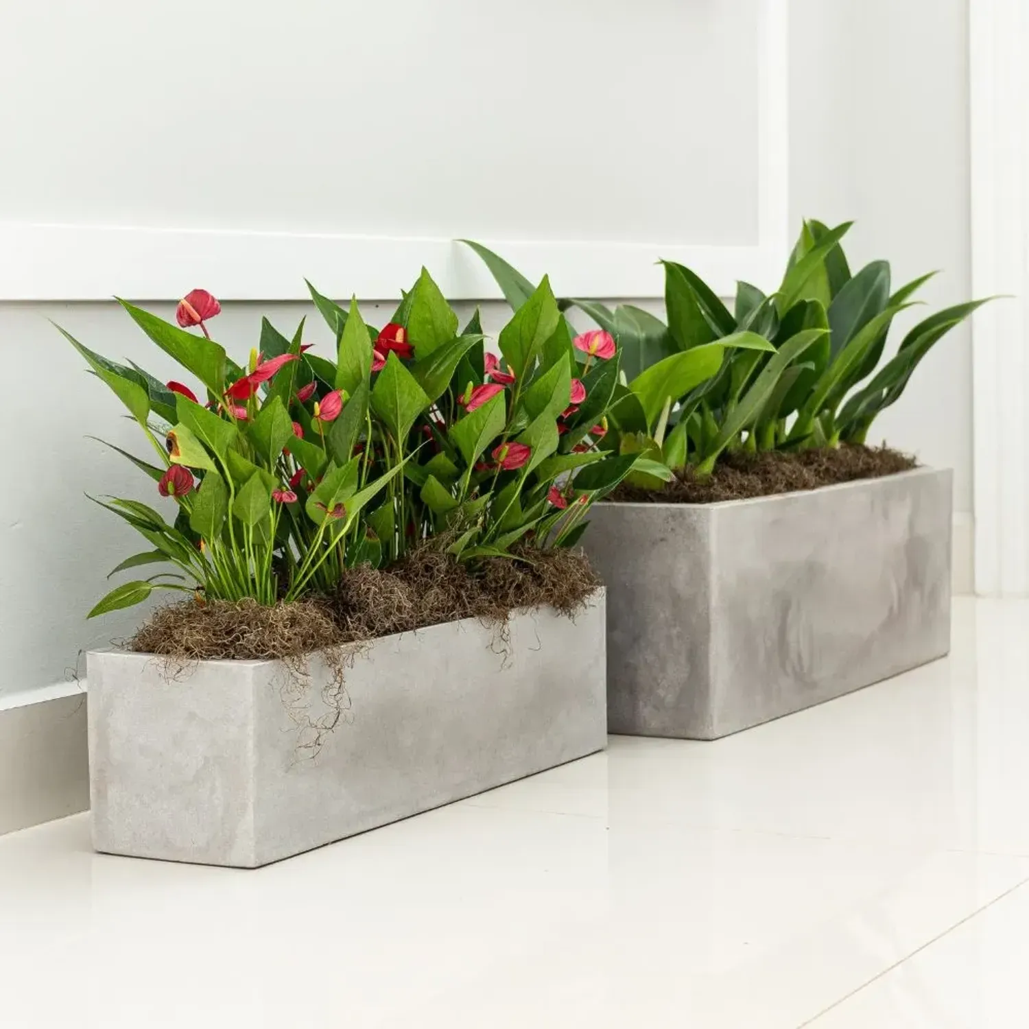 Cachepo-Floreira-Flat-Japi-Cimento-Queimado-decoracao-2