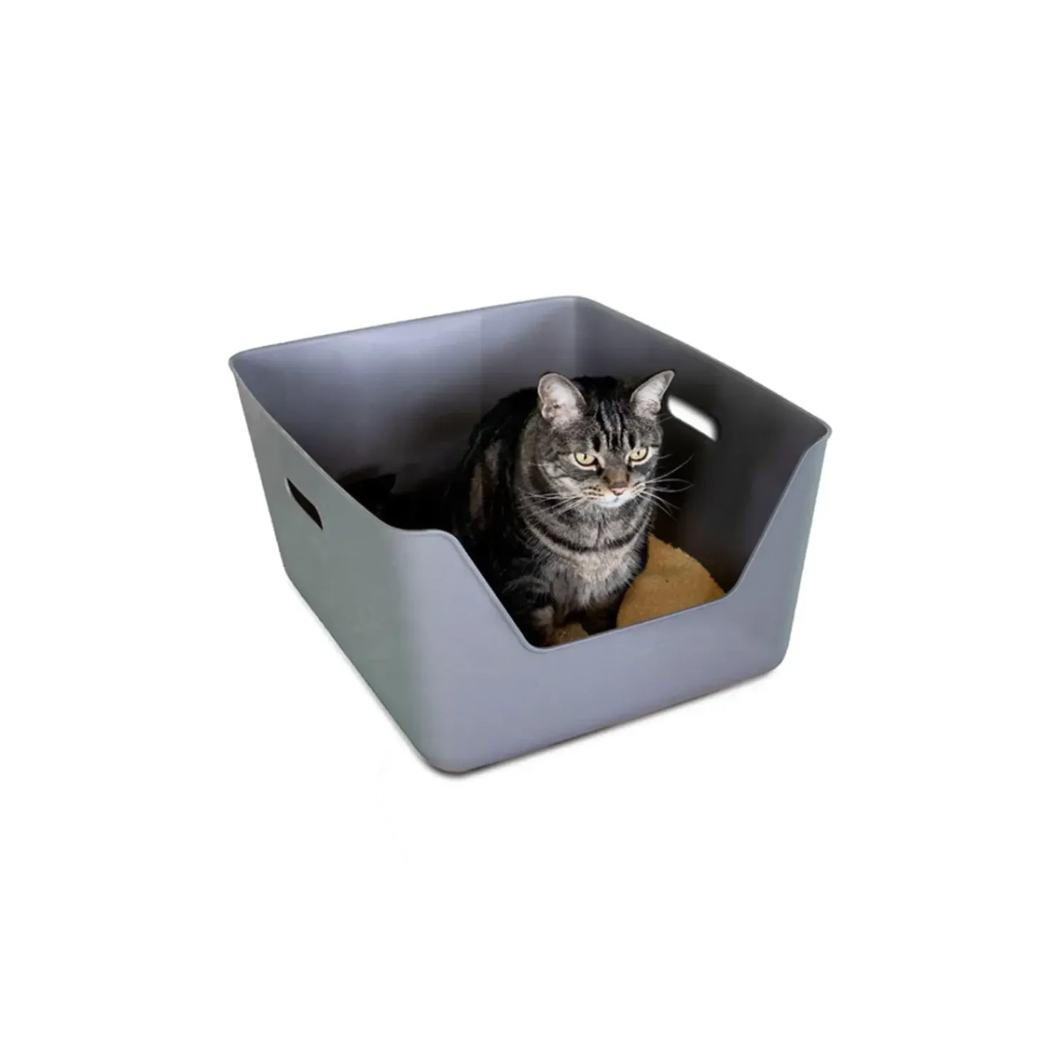 Bandeja-Higienica-Cansei-de-Ser-Gato-Cinza-6