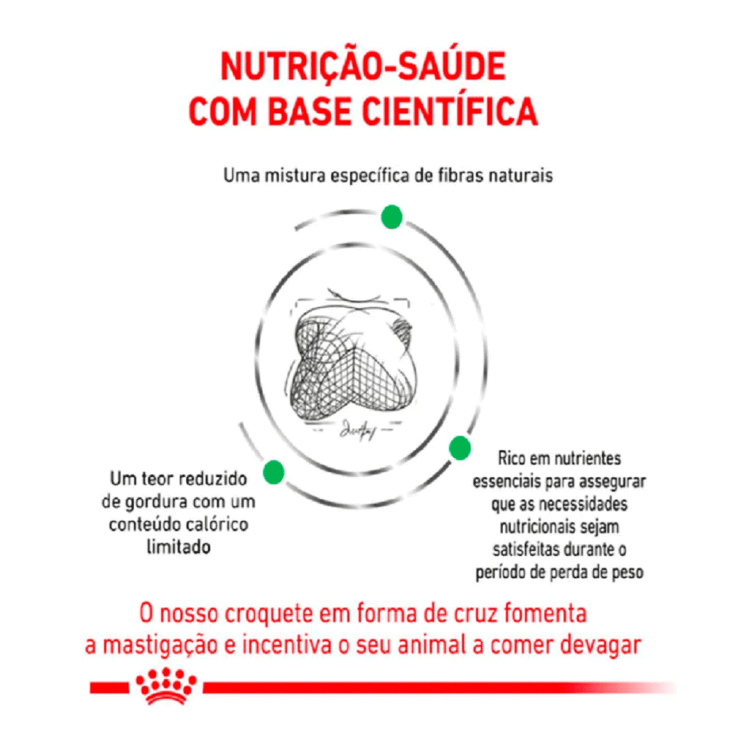 Nutricao-e-Saude