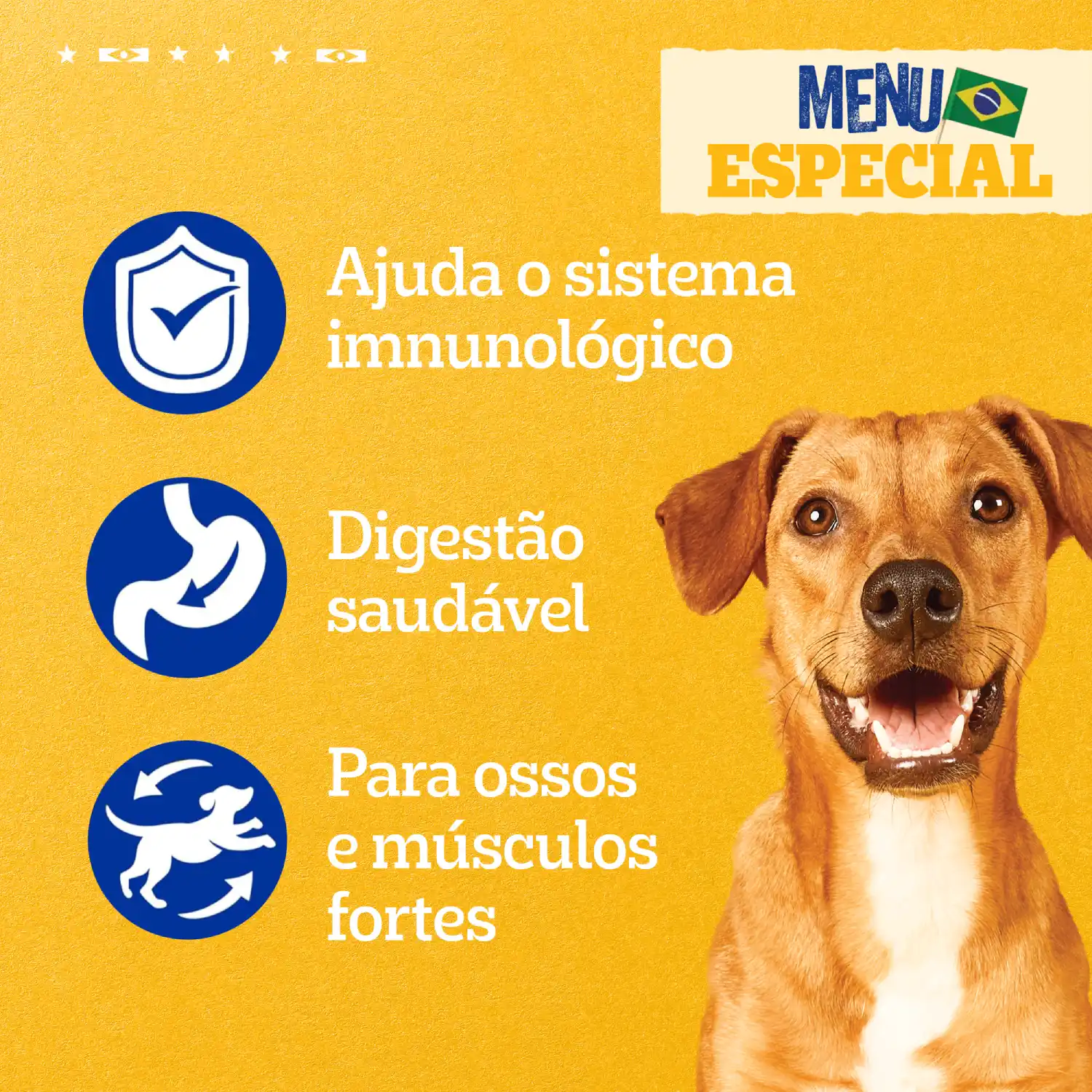 Racao-Umida-Pedigree-Caramelo-Caes-Sache-Churrasco