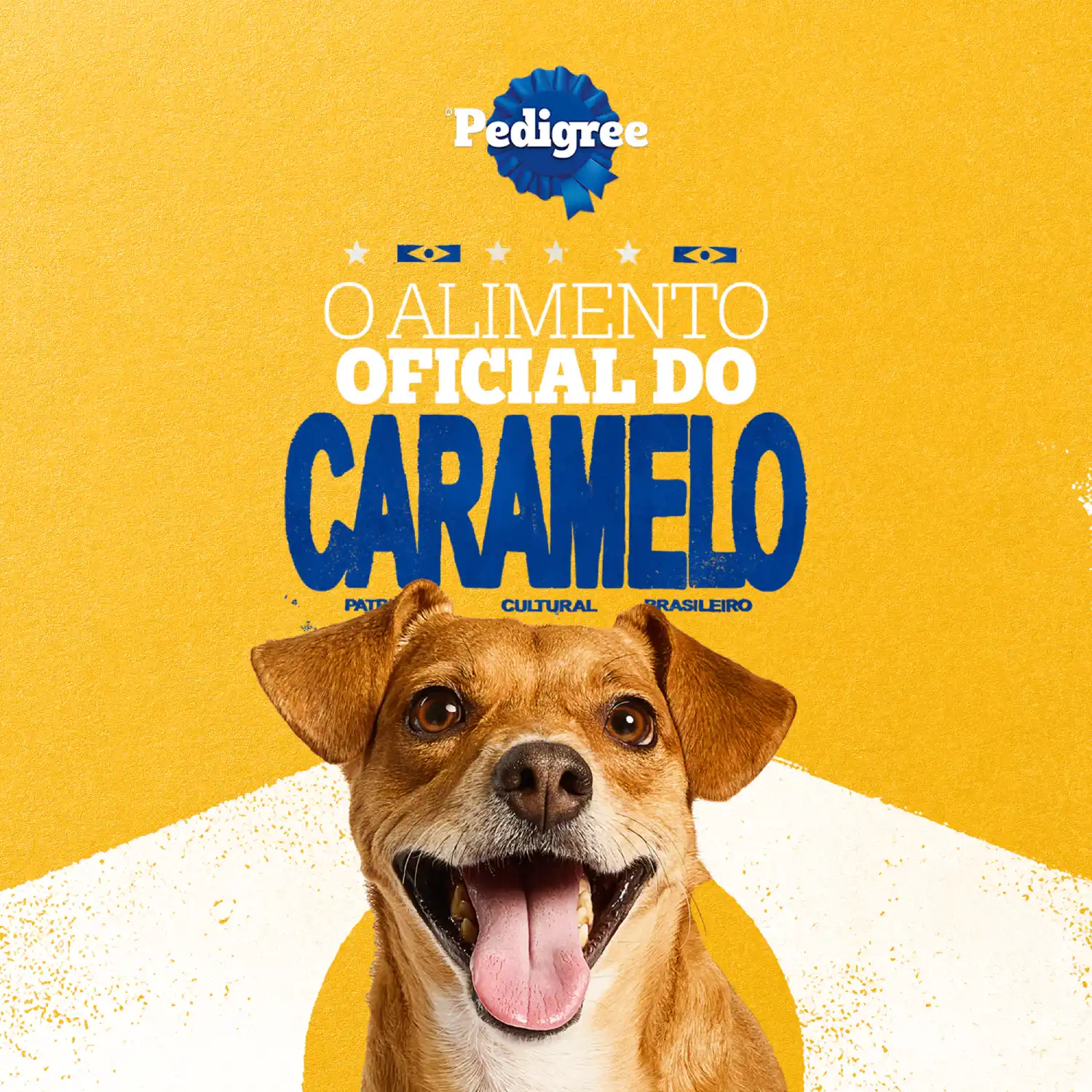Racao-Umida-Pedigree-Caramelo-Caes-Adultos-Sache-Churrasco-10