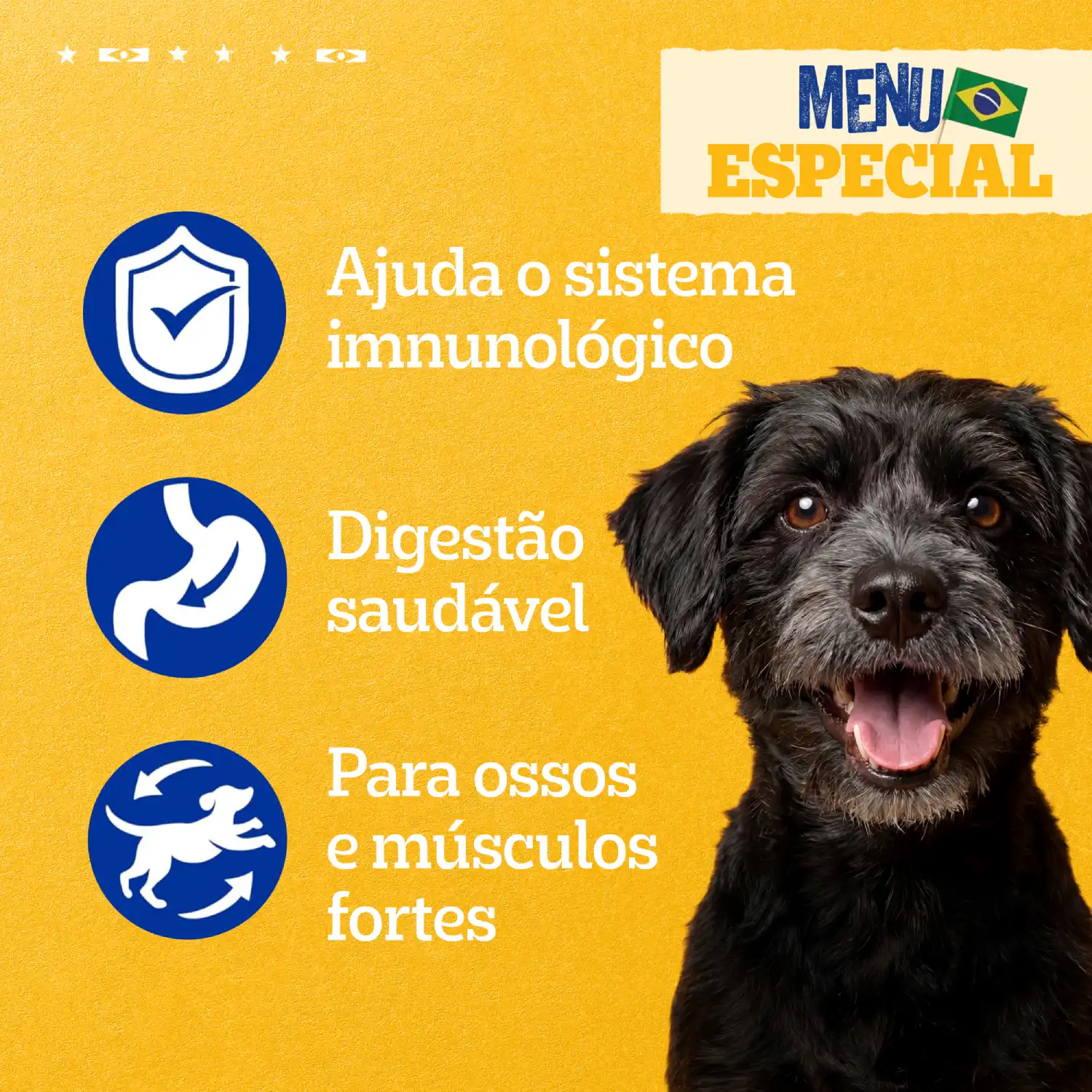 Ração Úmida Pedigree Caramelo Cães Adultos Sachê Galinhada