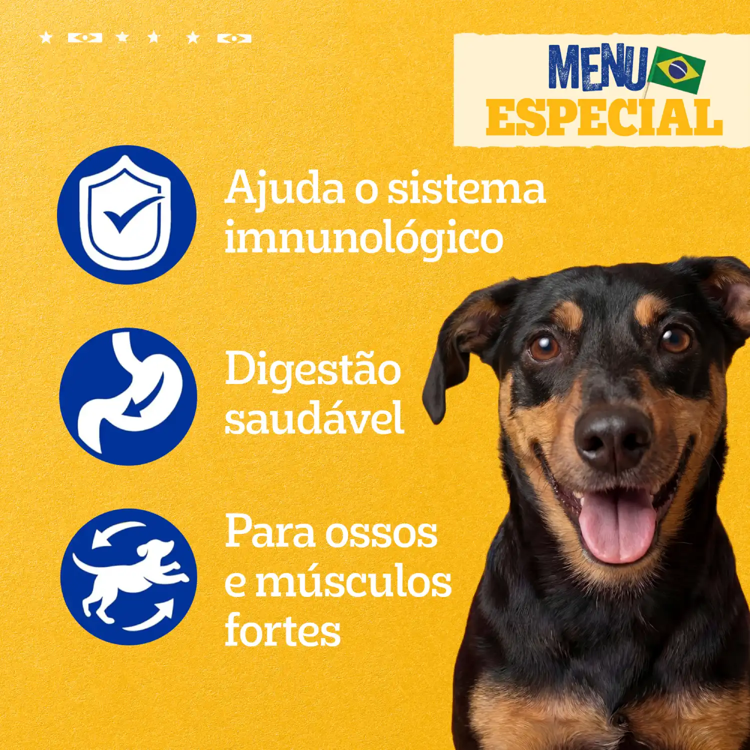 Ração Úmida Pedigree Caramelo Cães Adultos Sachê Peixada
