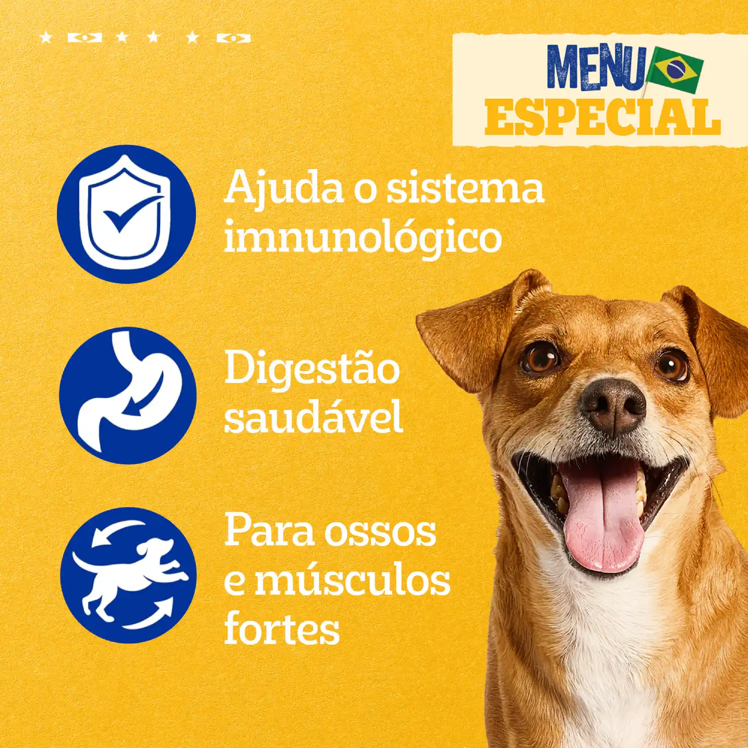 Ração Úmida Pedigree Caramelo Cães Adultos Sachê Picadinho