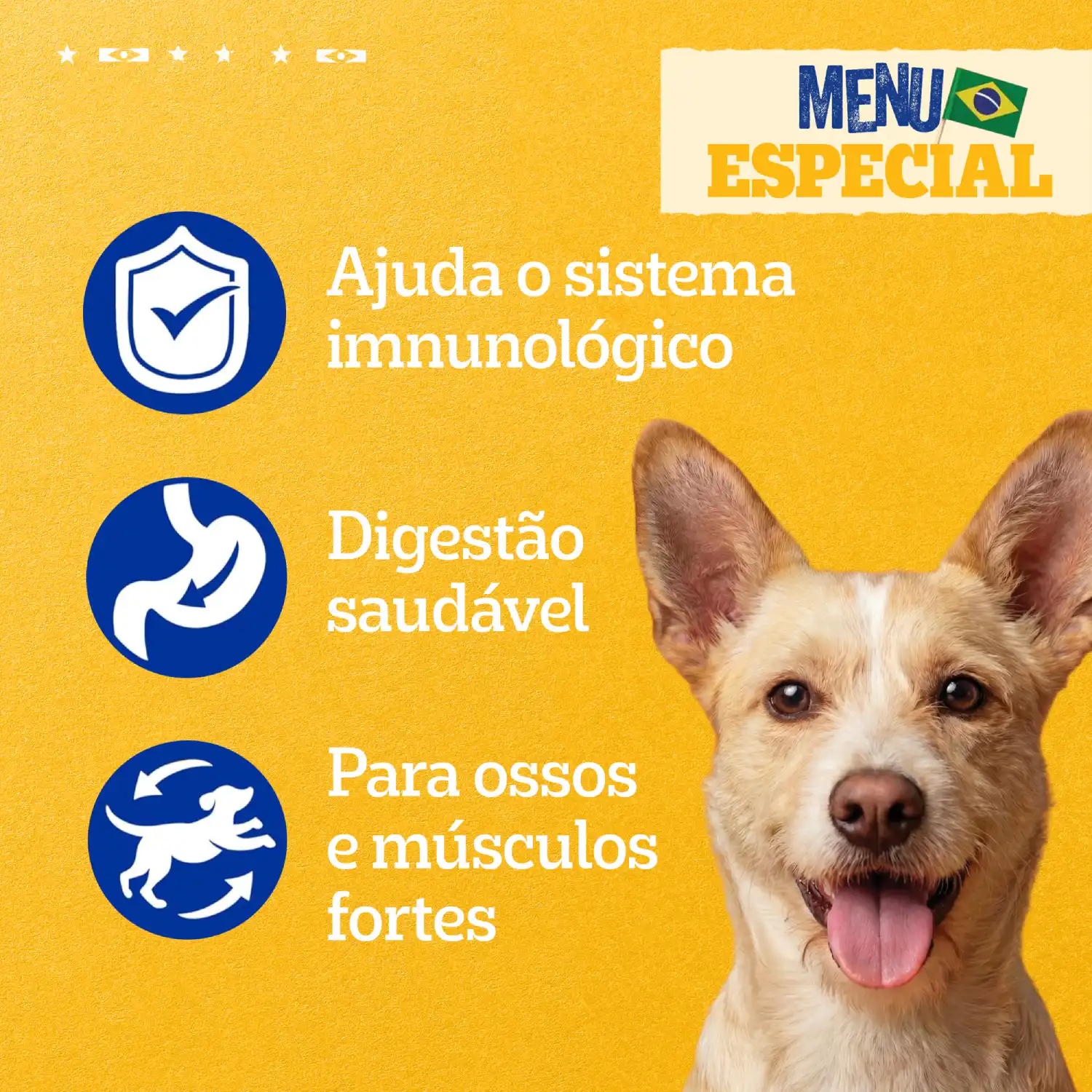 Racao-Umida-Pedigree-Caramelo-Caes-Adultos-Sache-Lombinho-3
