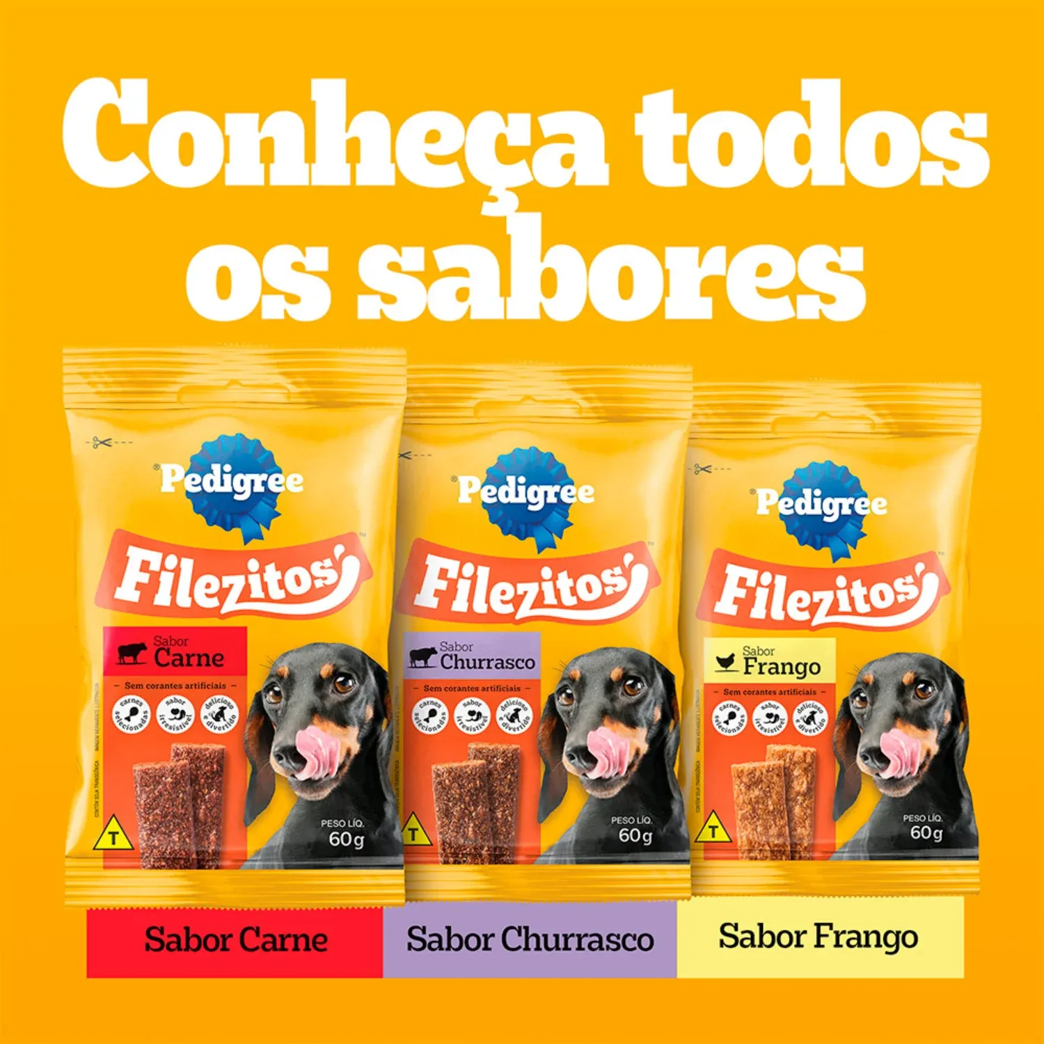 Petisco-Pedigree-Filezitos-Bifinho-para-Caes-Adultos-Carne-8