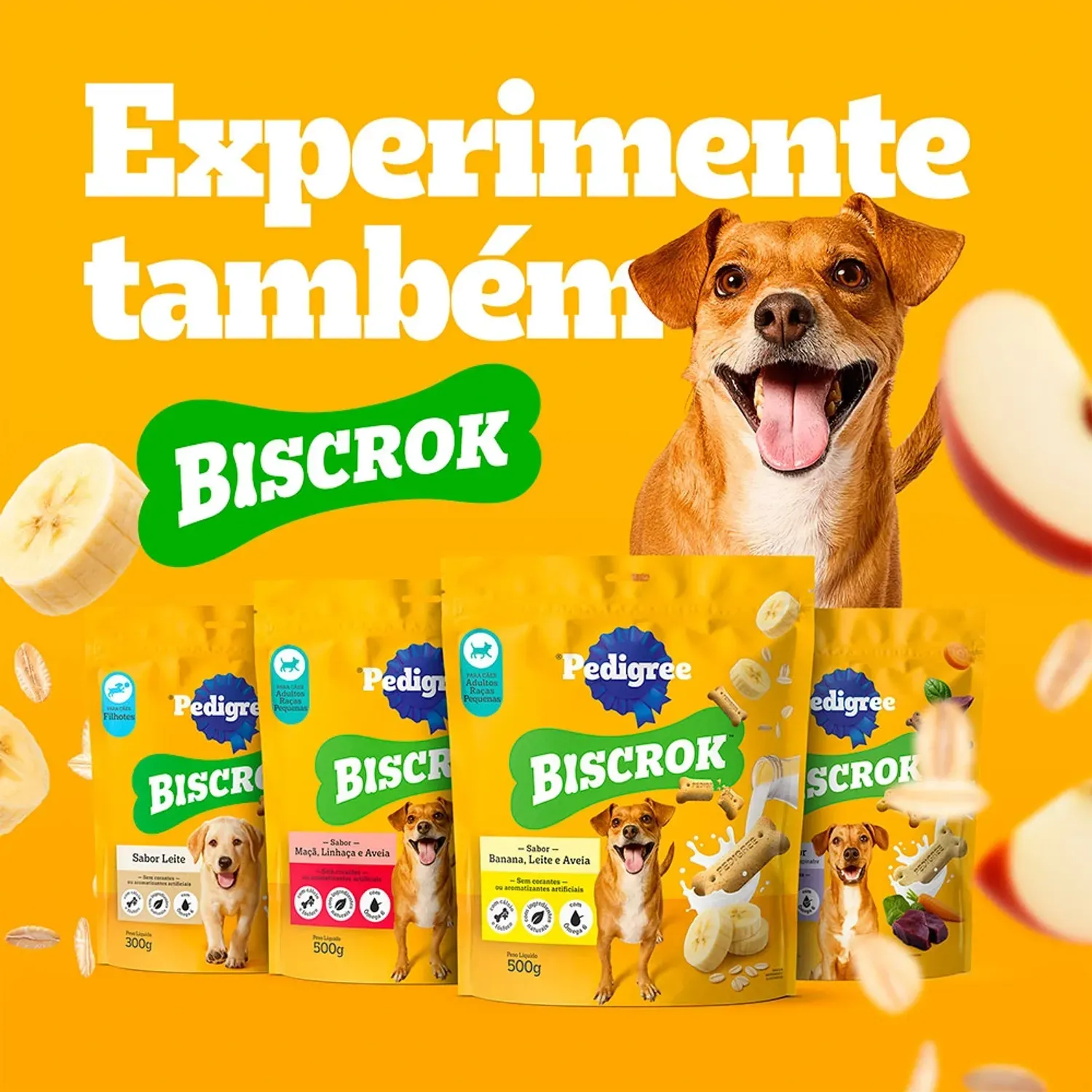 Petisco-Pedigree-Filezitos-Bifinho-para-Caes-Adultos-Carne10