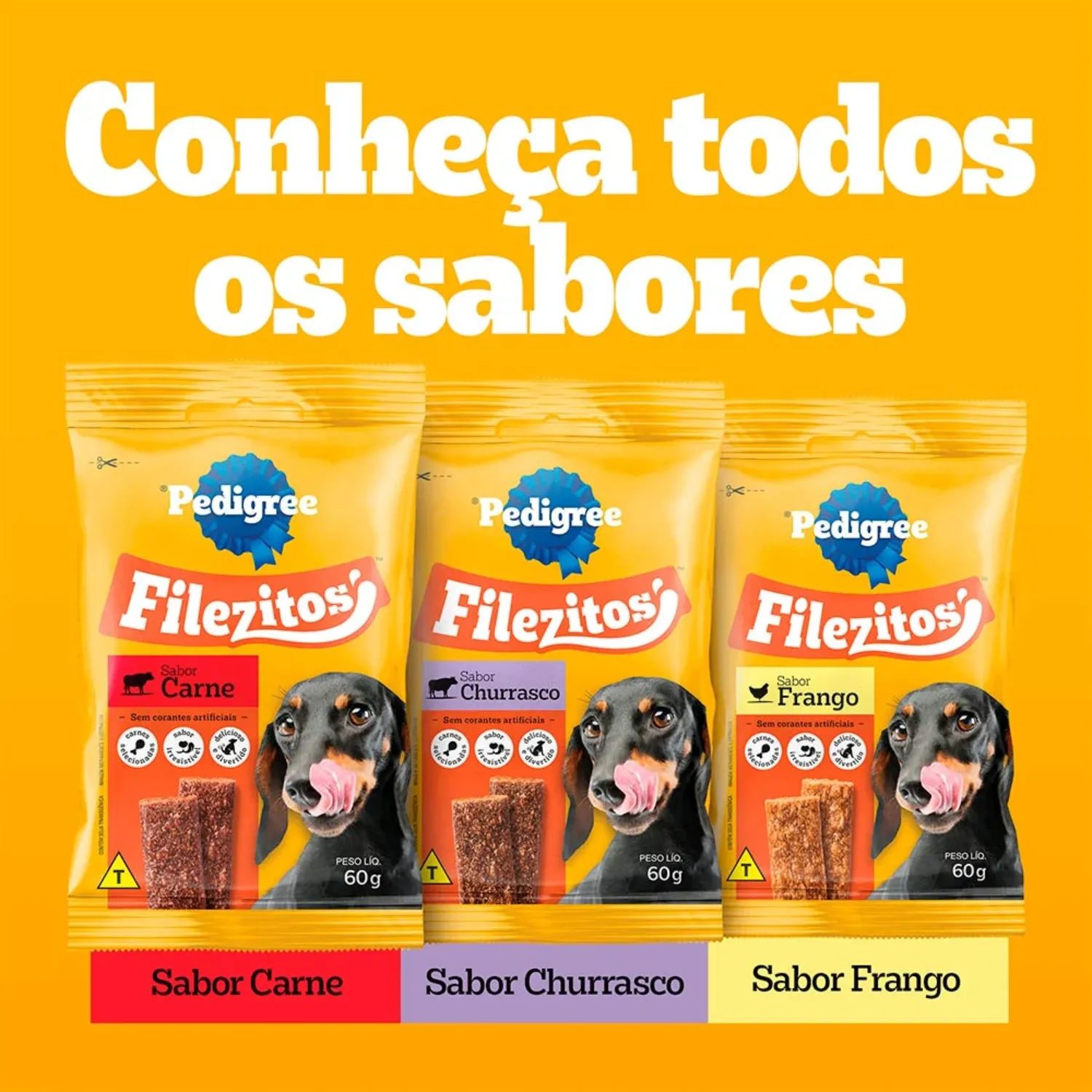 Petisco-Pedigree-Filezitos-Bifinho-para-Caes-Adultos-Frango-8