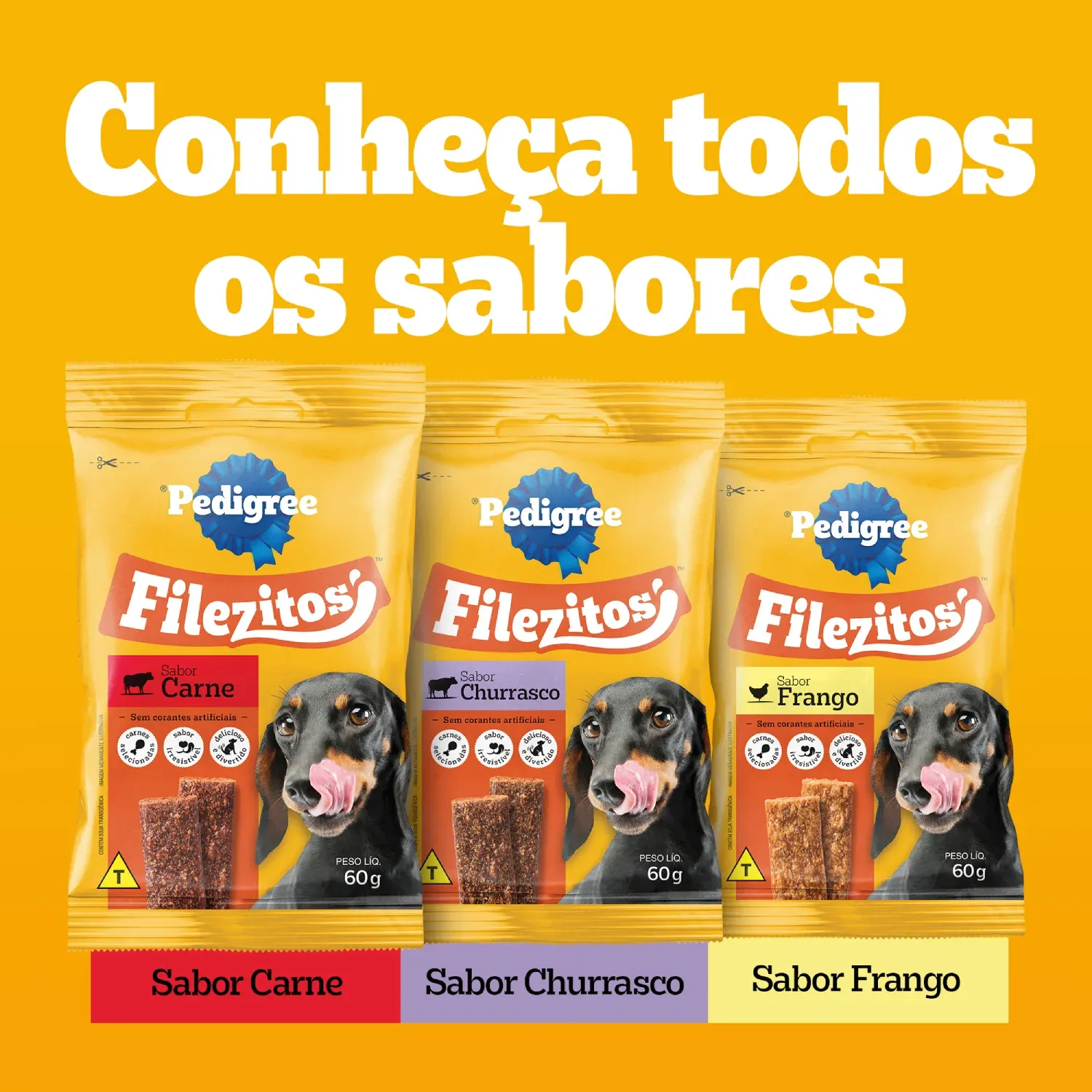 Petisco-Pedigree-Filezitos-Bifinho-para-Caes-Adultos-Churrasco-7