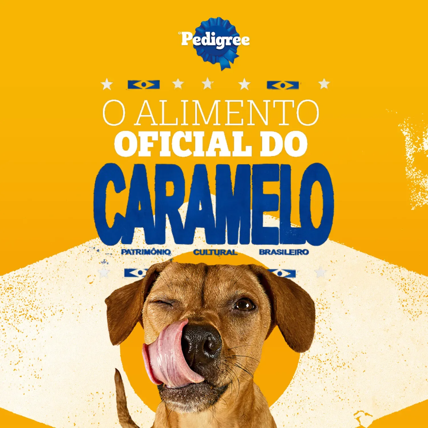 Petisco-Pedigree-Filezitos-Bifinho-para-Caes-Adultos-Churrasco-8