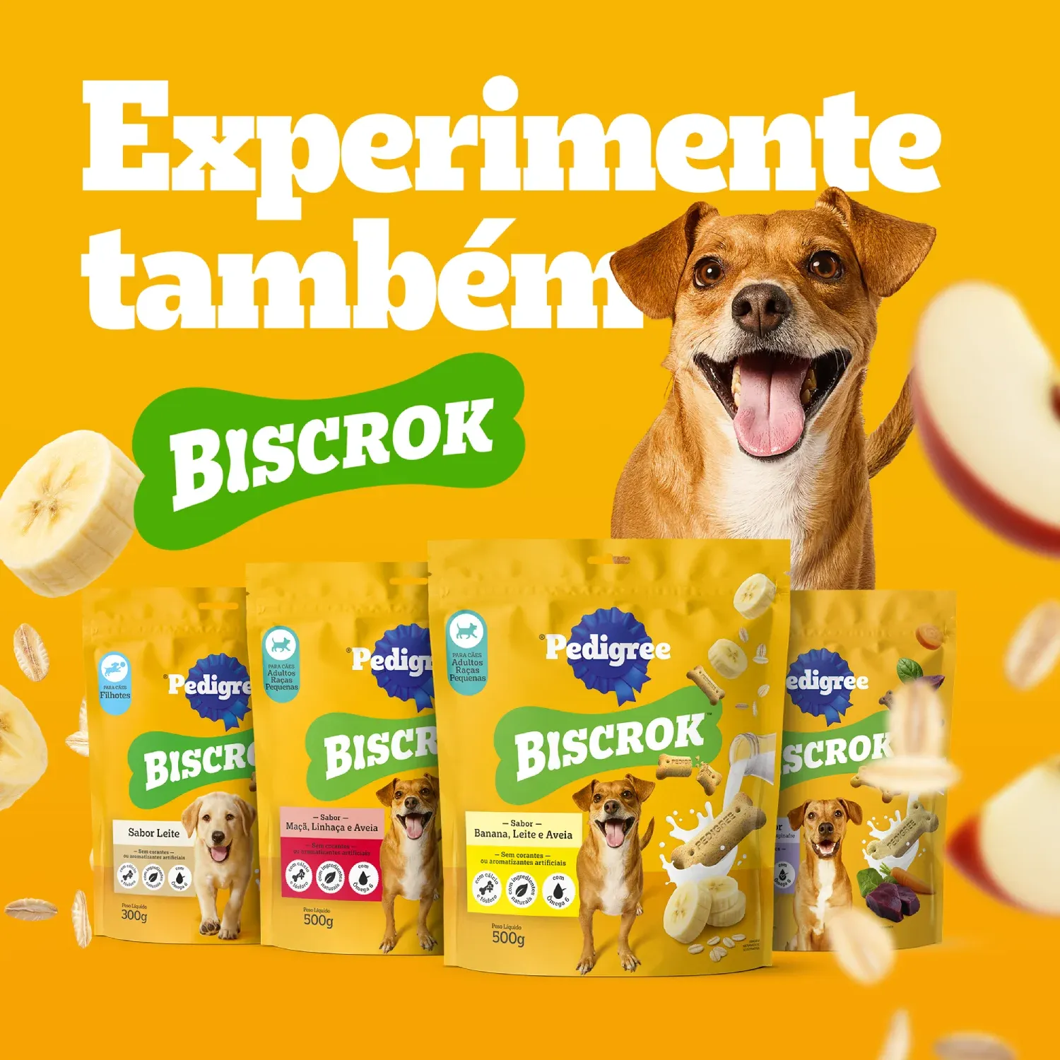 Petisco-Pedigree-Filezitos-Bifinho-para-Caes-Adultos-Churrasco-9