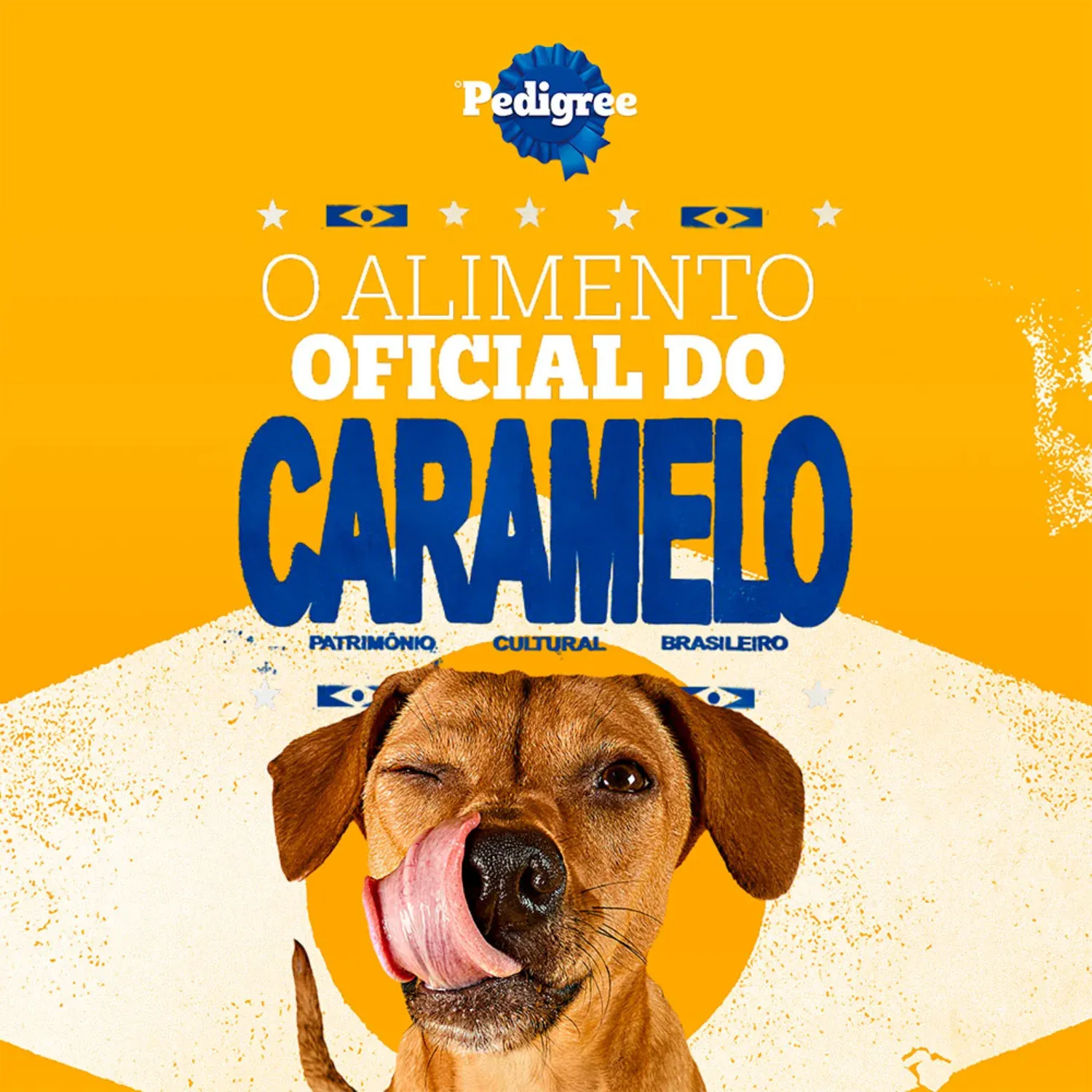 Racao-Pedigree-Barriguinha-Saudavel-Salmao-Caes-Adultos-Racas-Pequenas-e-Minis-7