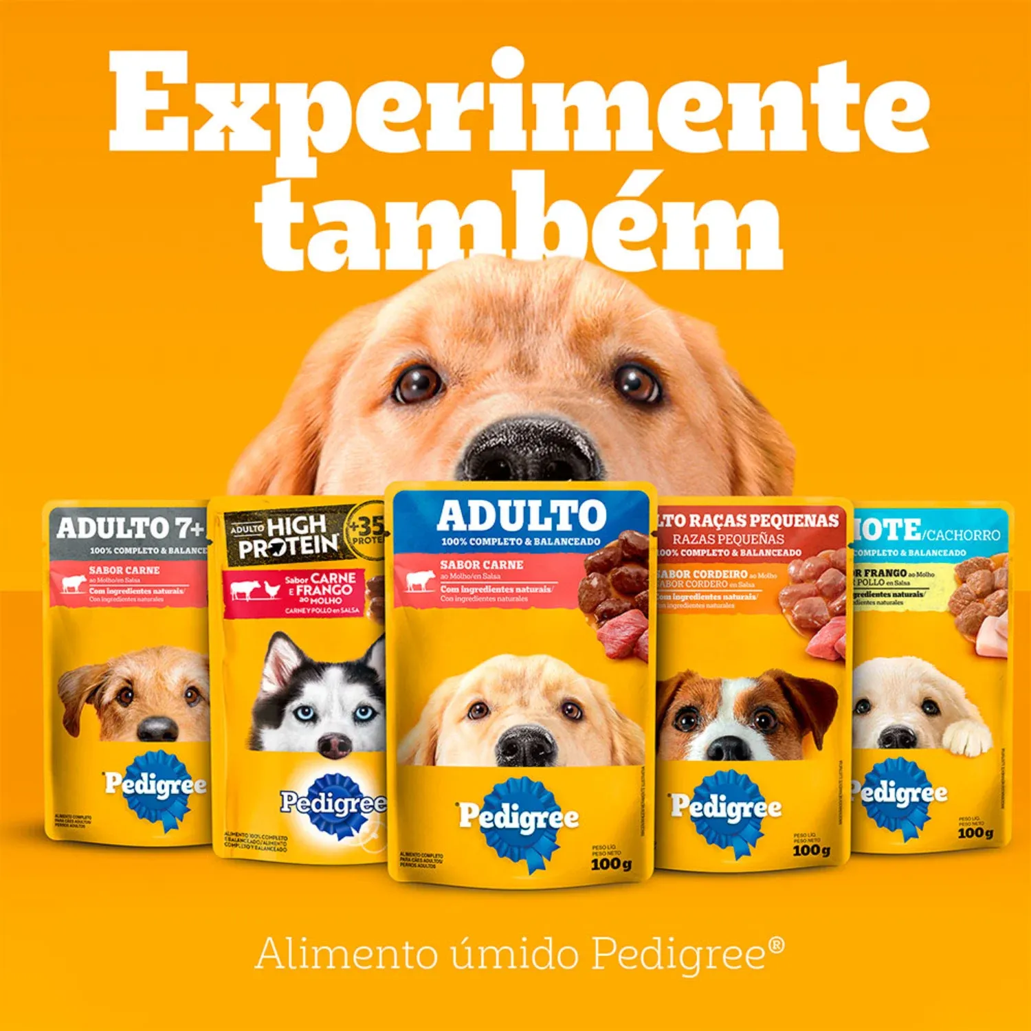 Racao-Pedigree-Barriguinha-Saudavel-Salmao-Caes-Adultos-Racas-Pequenas-e-Minis-8