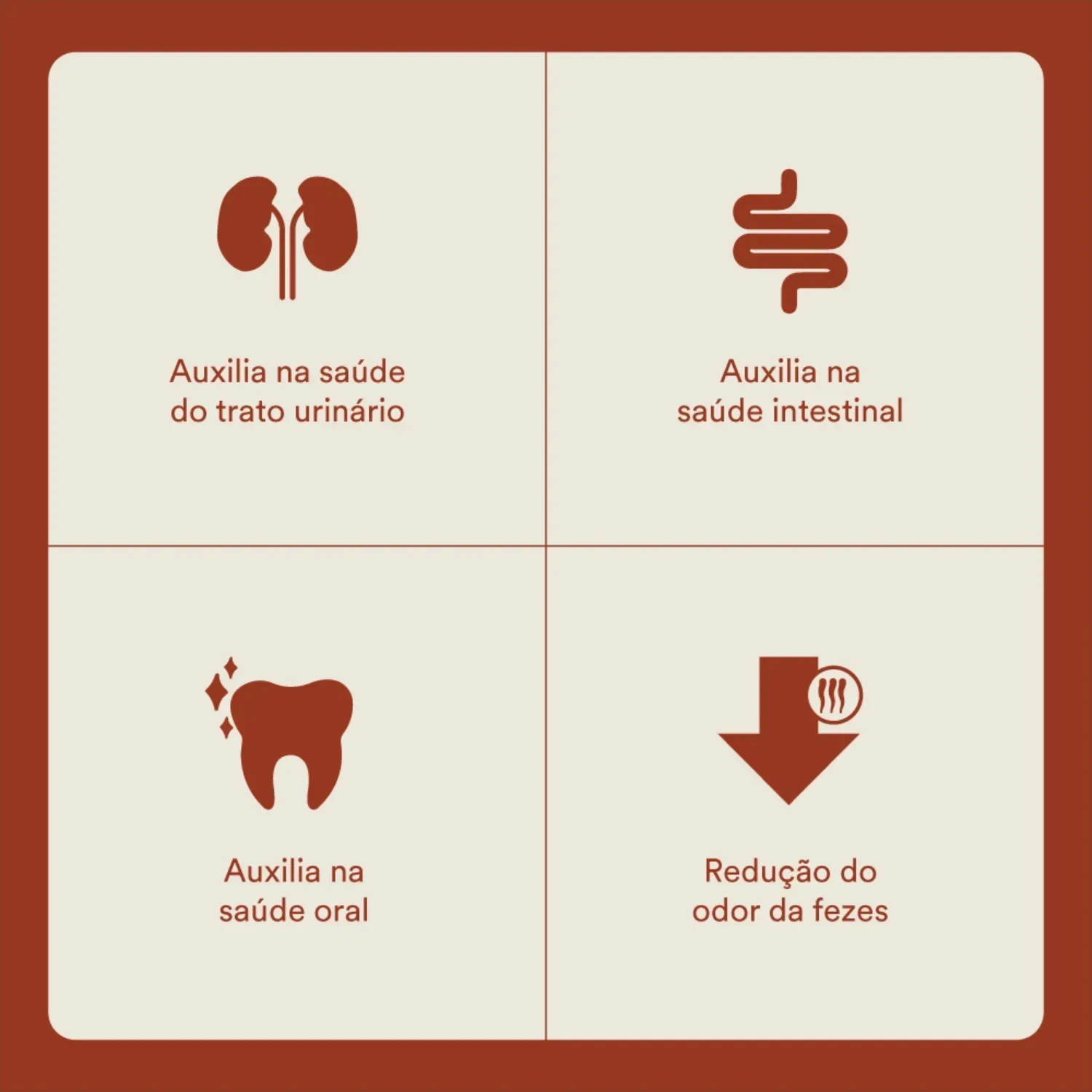 Racao-Selections-for-Pets-Gatos-Castrados-Salmao-2