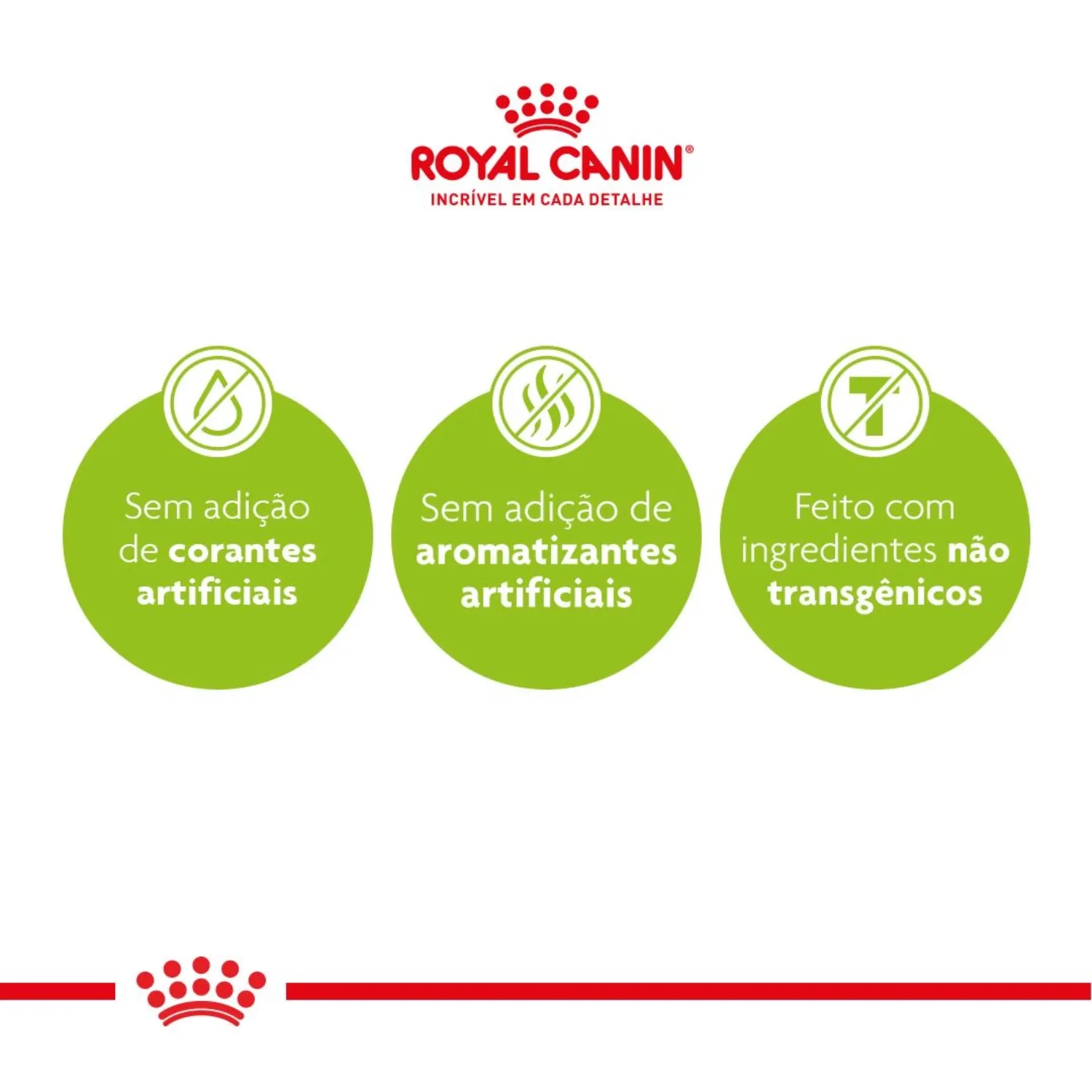 Racao-Royal-Canin-Maxi-Light-Caes-Adultos-e-Idosos-Porte-Grande-com-Tendencia-a-Obesidade-2