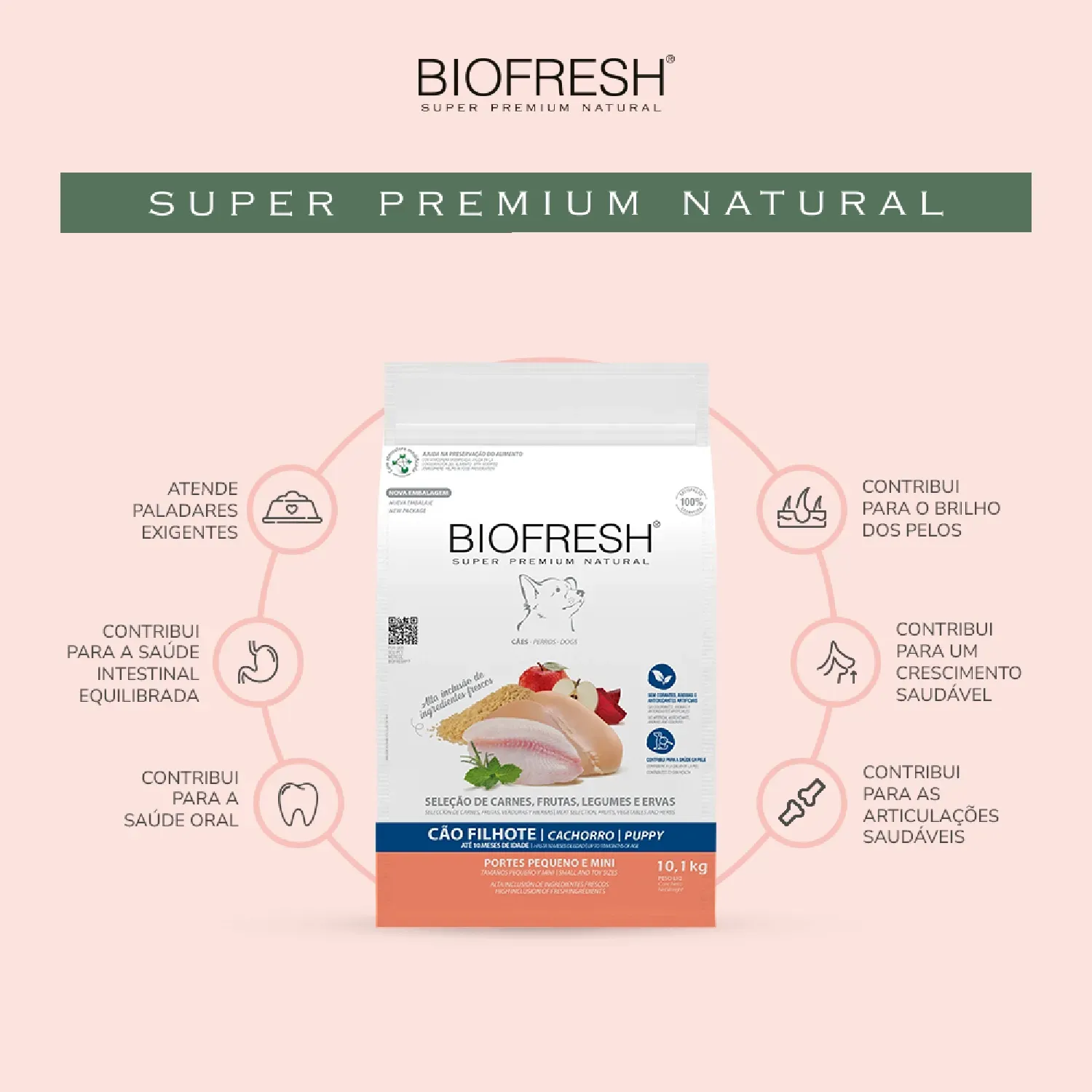 Racao-Biofresh-Caes-Filhotes-Racas-Pequenas-e-Minis-01