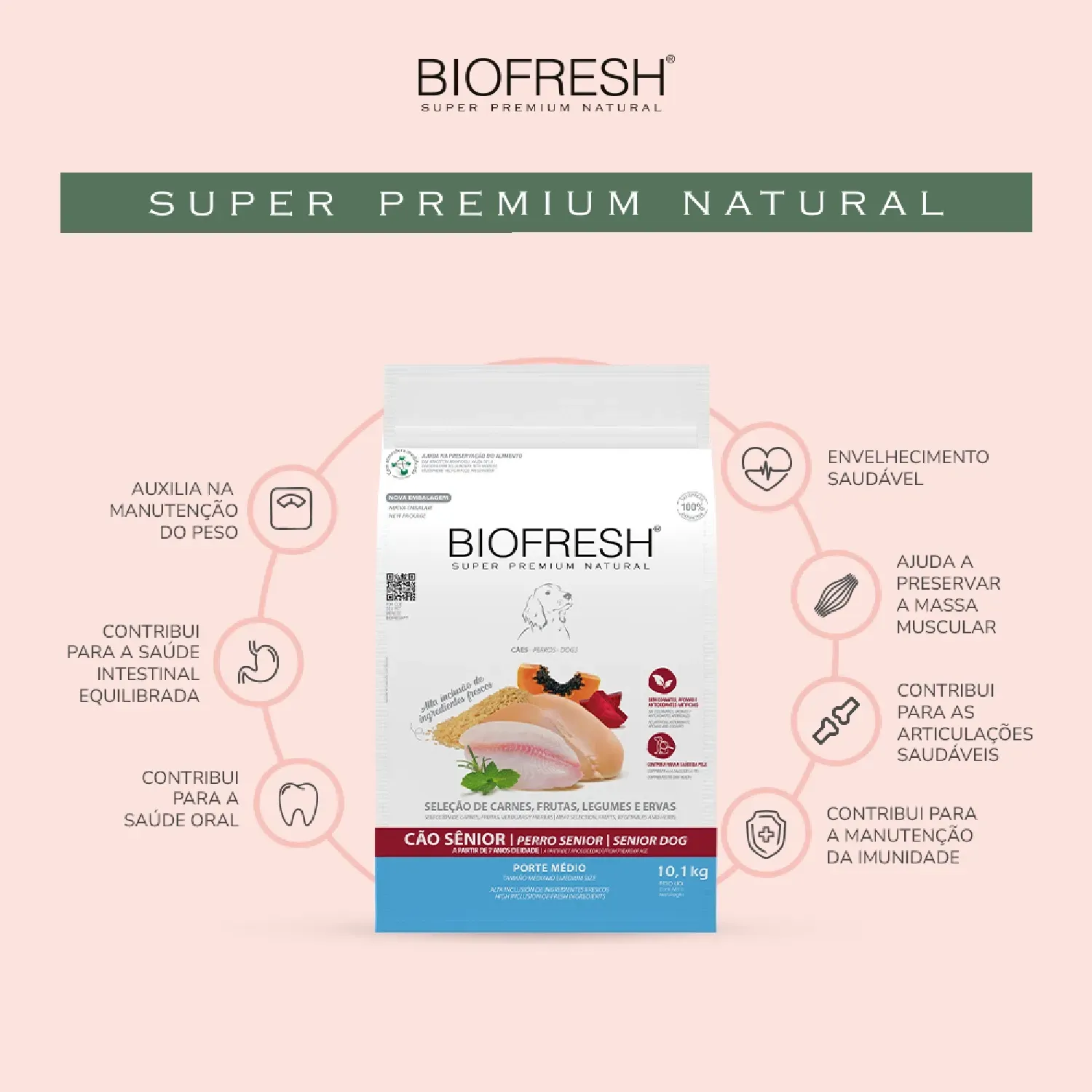 Racao-Biofresh-Caes-Senior-Racas-Medias-01