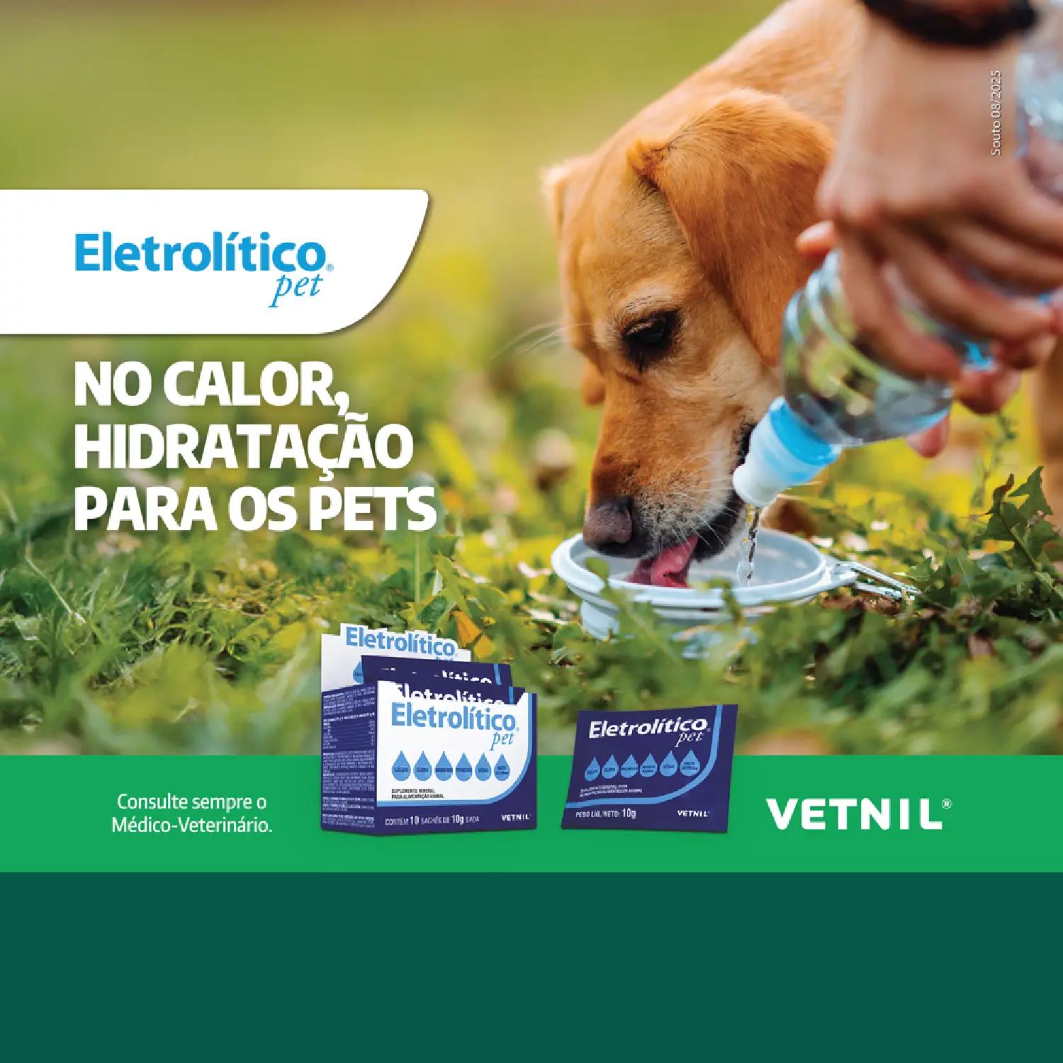 Eletrolitico-10g-04