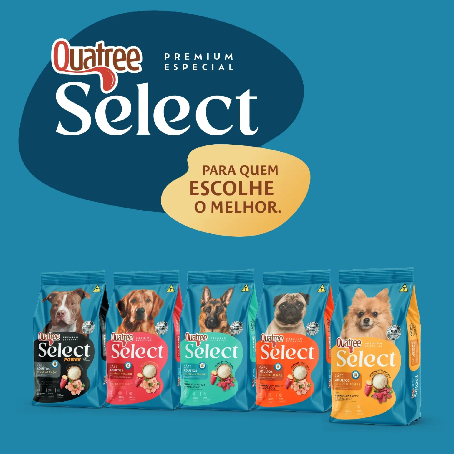Linha-completa-09