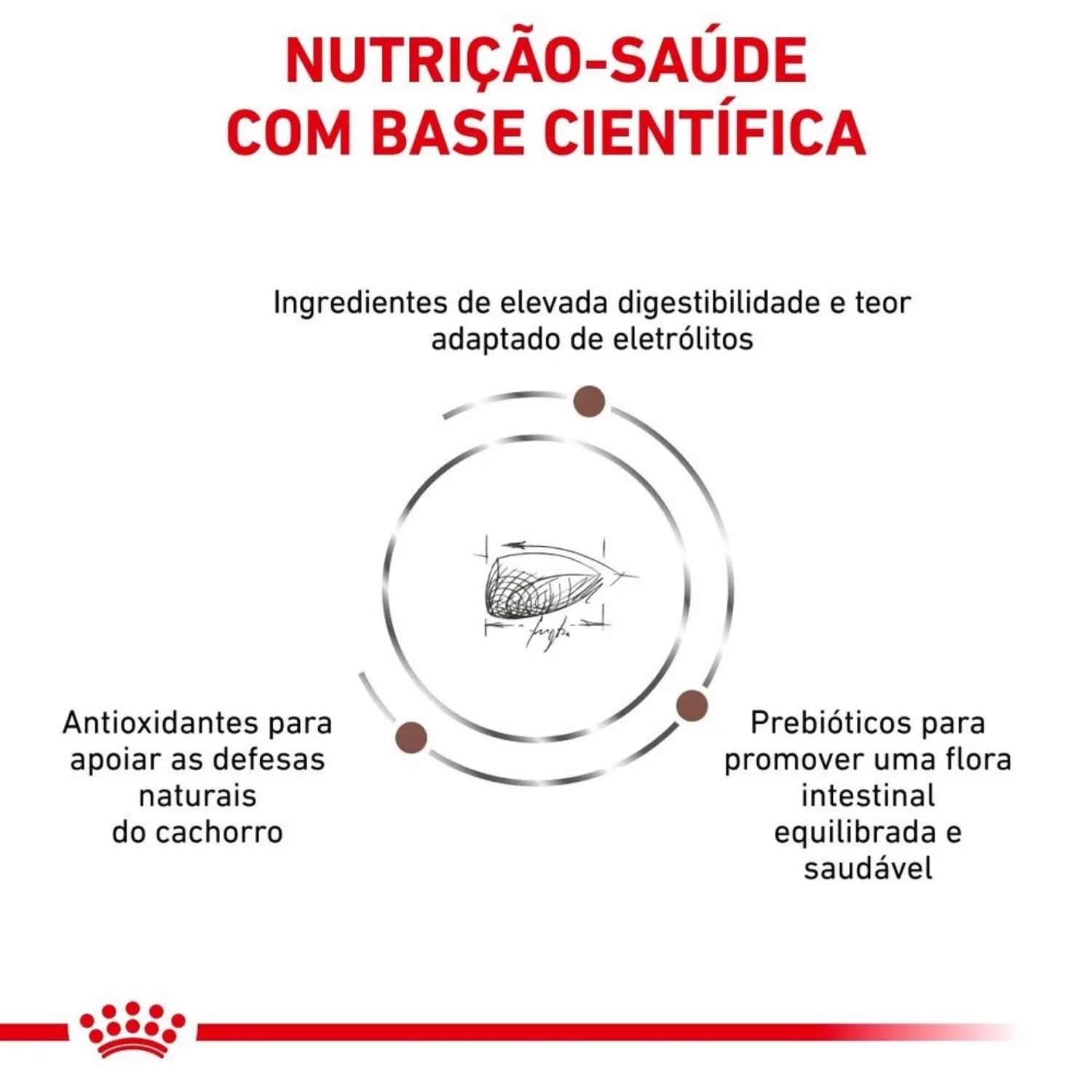 Racao-Royal-Canin-Veterinary-Diet-Gastrointestinal-Puppy-3