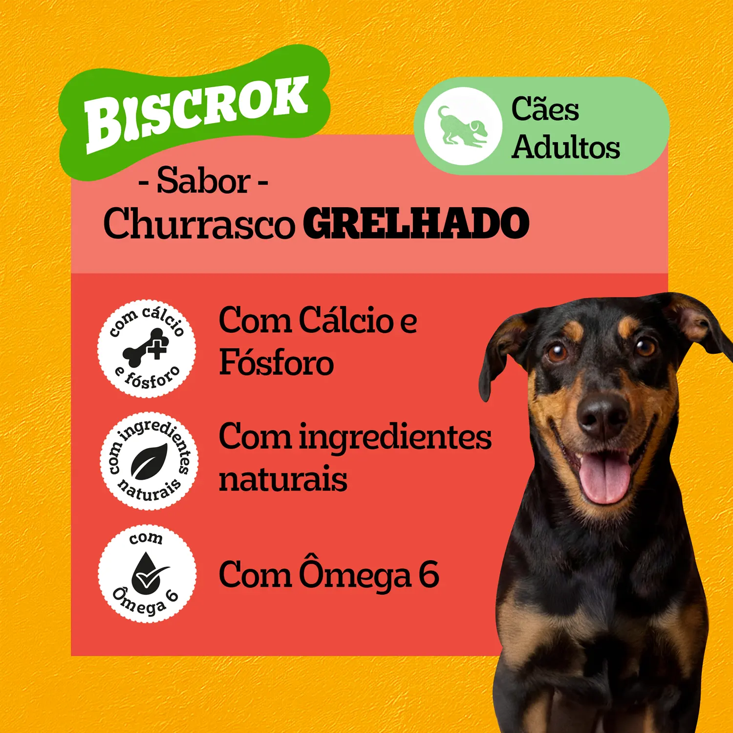 4-Pedigree-Biscrok-para-Caes-Adultos-Churrasco-500g