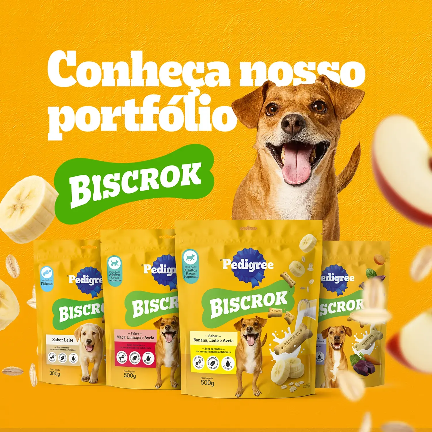 8-Pedigree-Biscrok-para-Caes-Adultos-Churrasco-500g