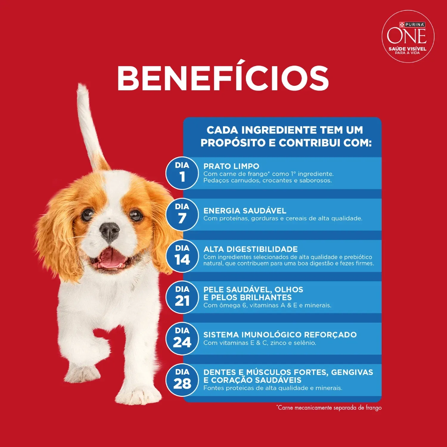 Racao-Purina-One-Microbioma-Equilibrado-Caes-Filhotes-Frango-beneficios