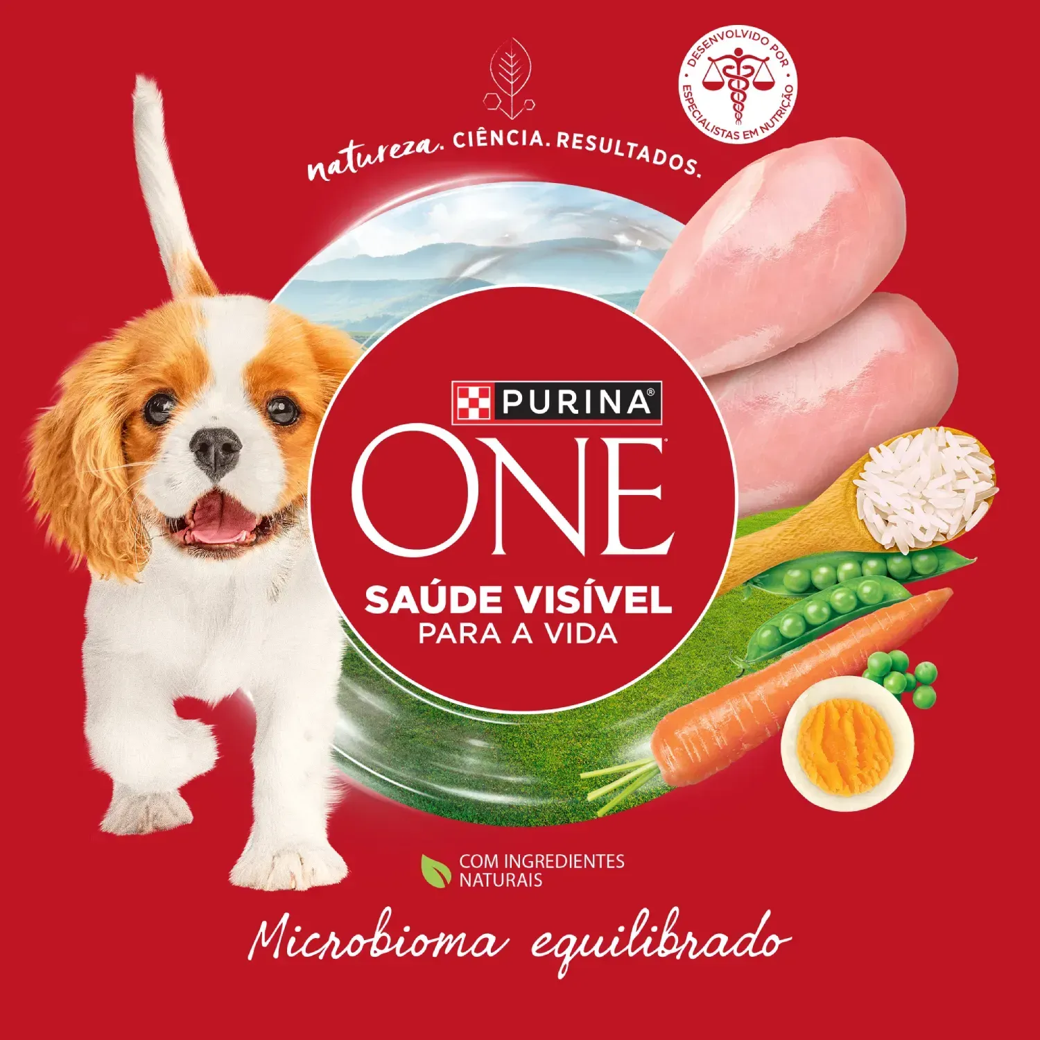 Racao-Purina-One-Microbioma-Equilibrado-Caes-Filhotes-Frango-5