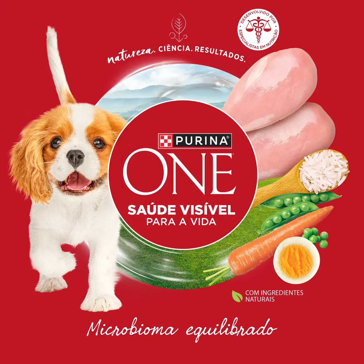 Racao-Purina-One-Microbioma-Equilibrado-Caes-Filhotes-Frango-4