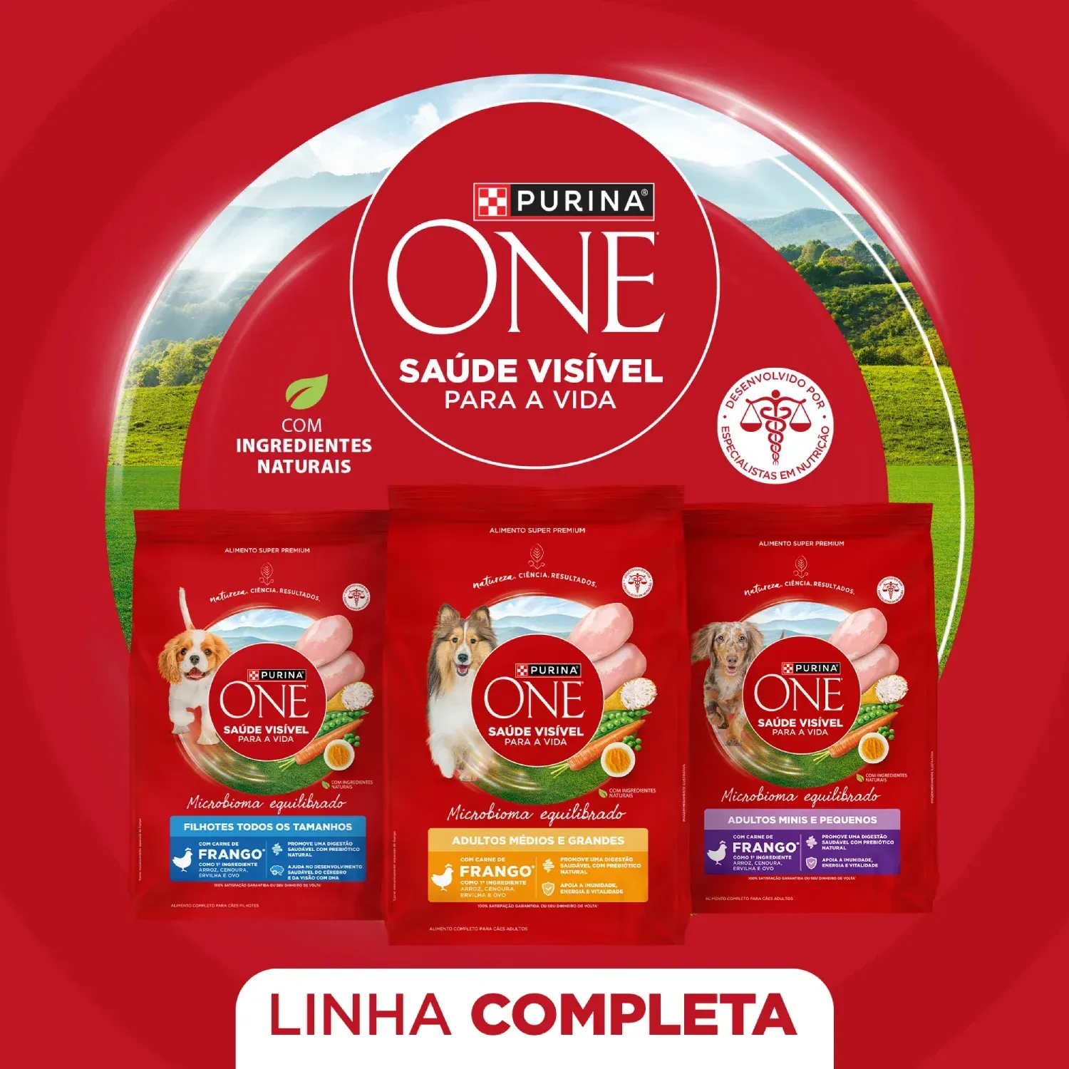 Racao-Purina-One-Microbioma-Equilibrado-Caes-Filhotes-Frango-6