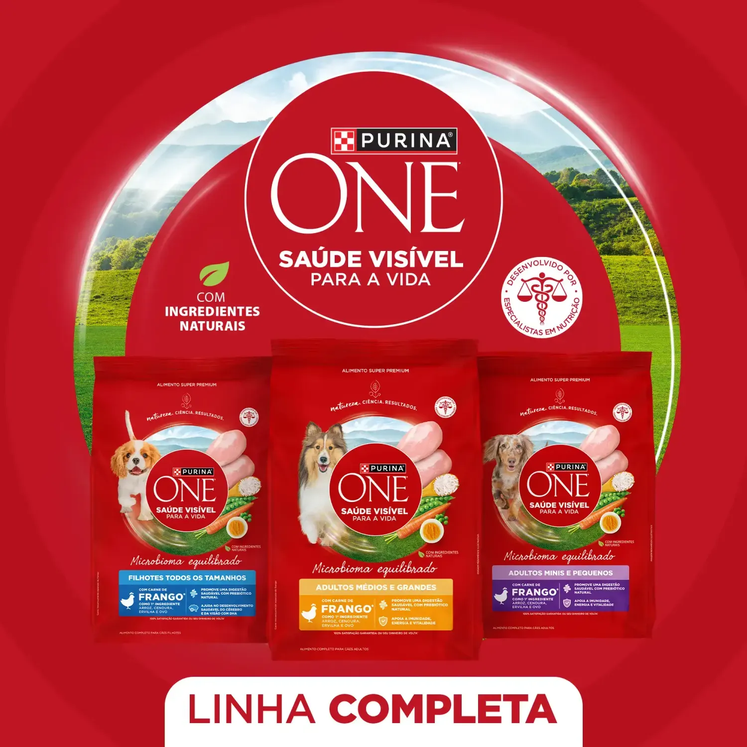 Racao-Purina-One-Microbioma-Equilibrado-Caes-Filhotes-Frango-7