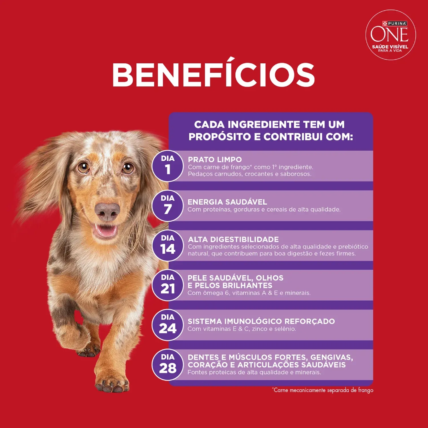 Racao-Purina-One-Microbioma-equilibrado-Caes-Adultos-Minis-e-Pequenos-Frango-5