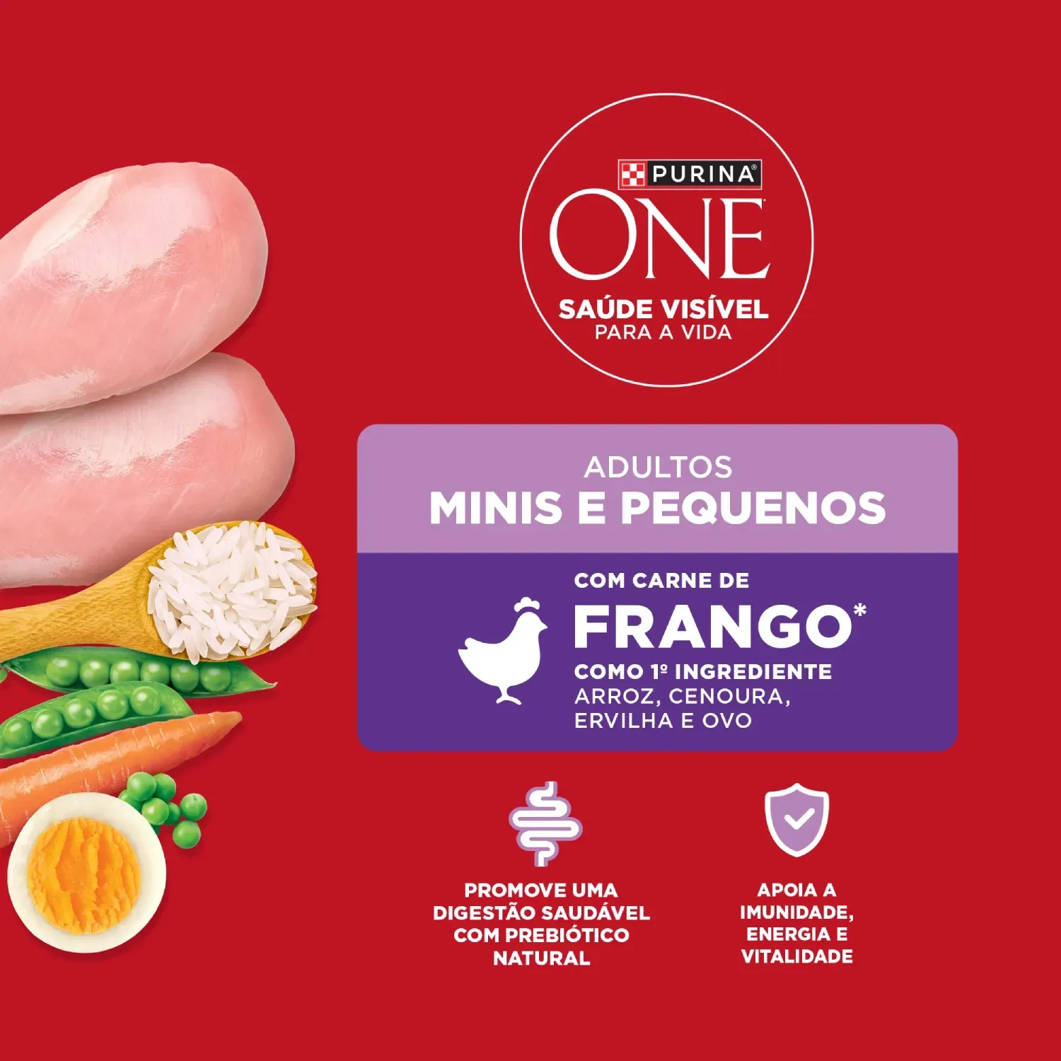 Racao-Purina-One-Microbioma-equilibrado-Caes-Adultos-Minis-e-Pequenos-Frango-6