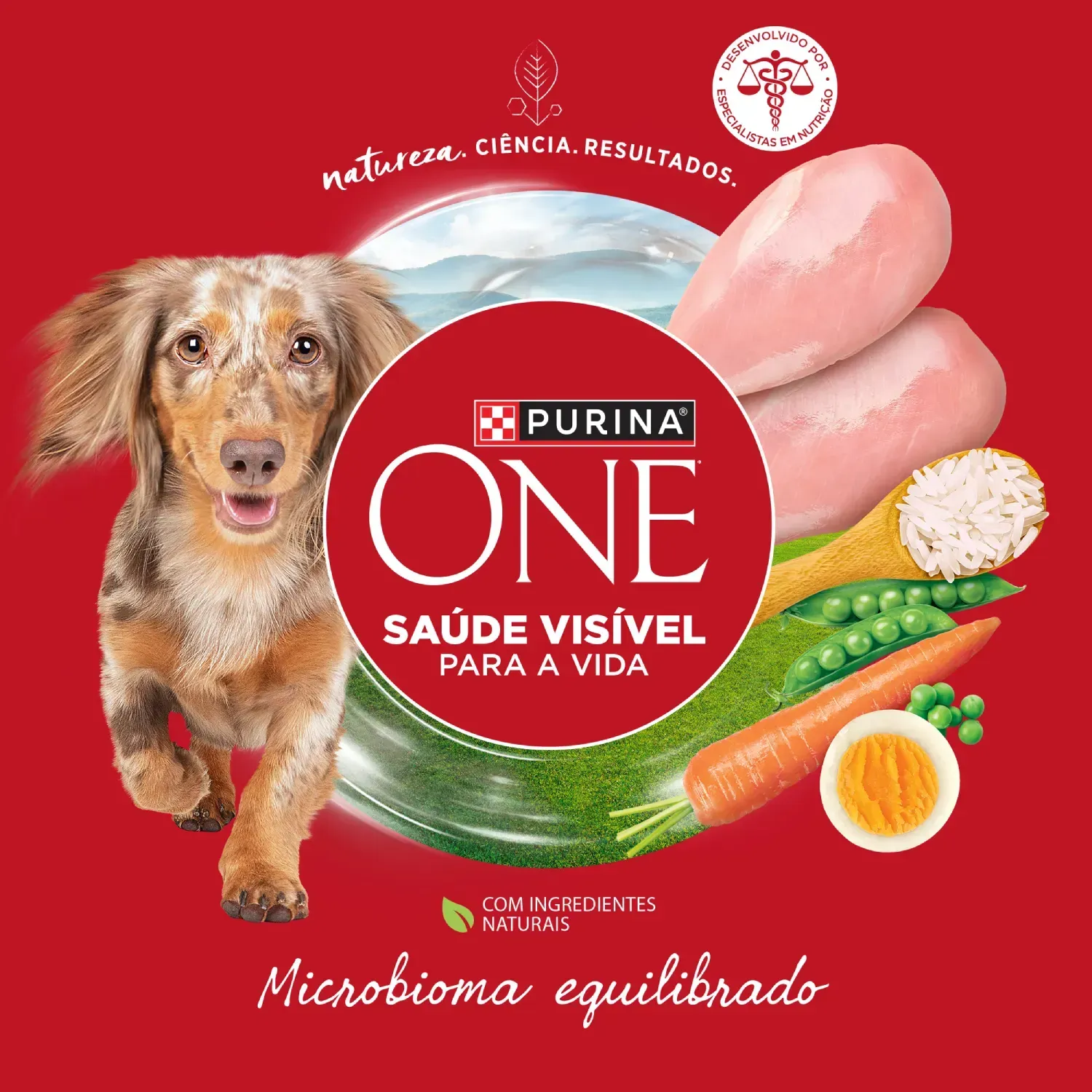 Racao-Purina-One-Microbioma-equilibrado-Caes-Adultos-Minis-e-Pequenos-Frango-7